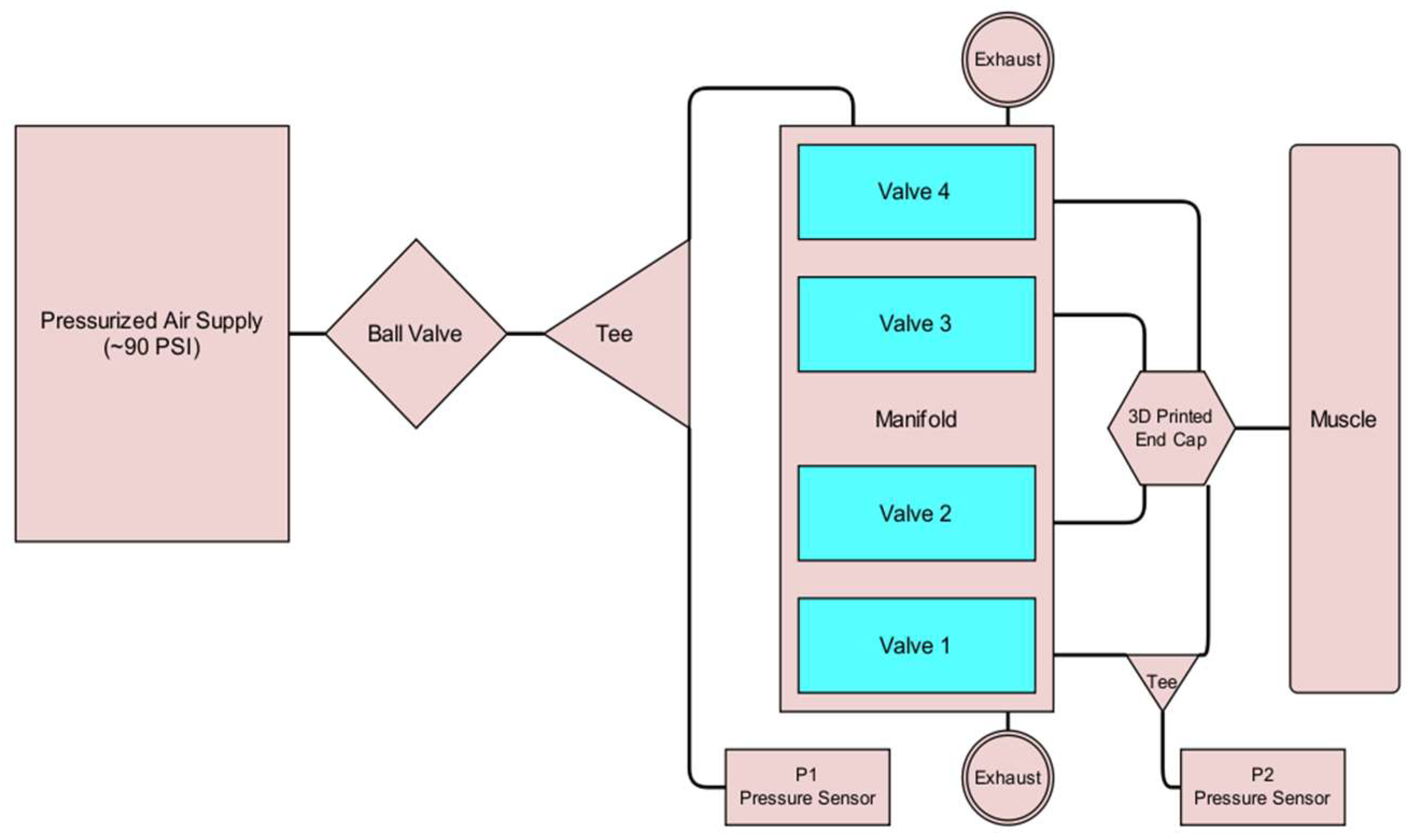 Bioengineering 12 00526 g011