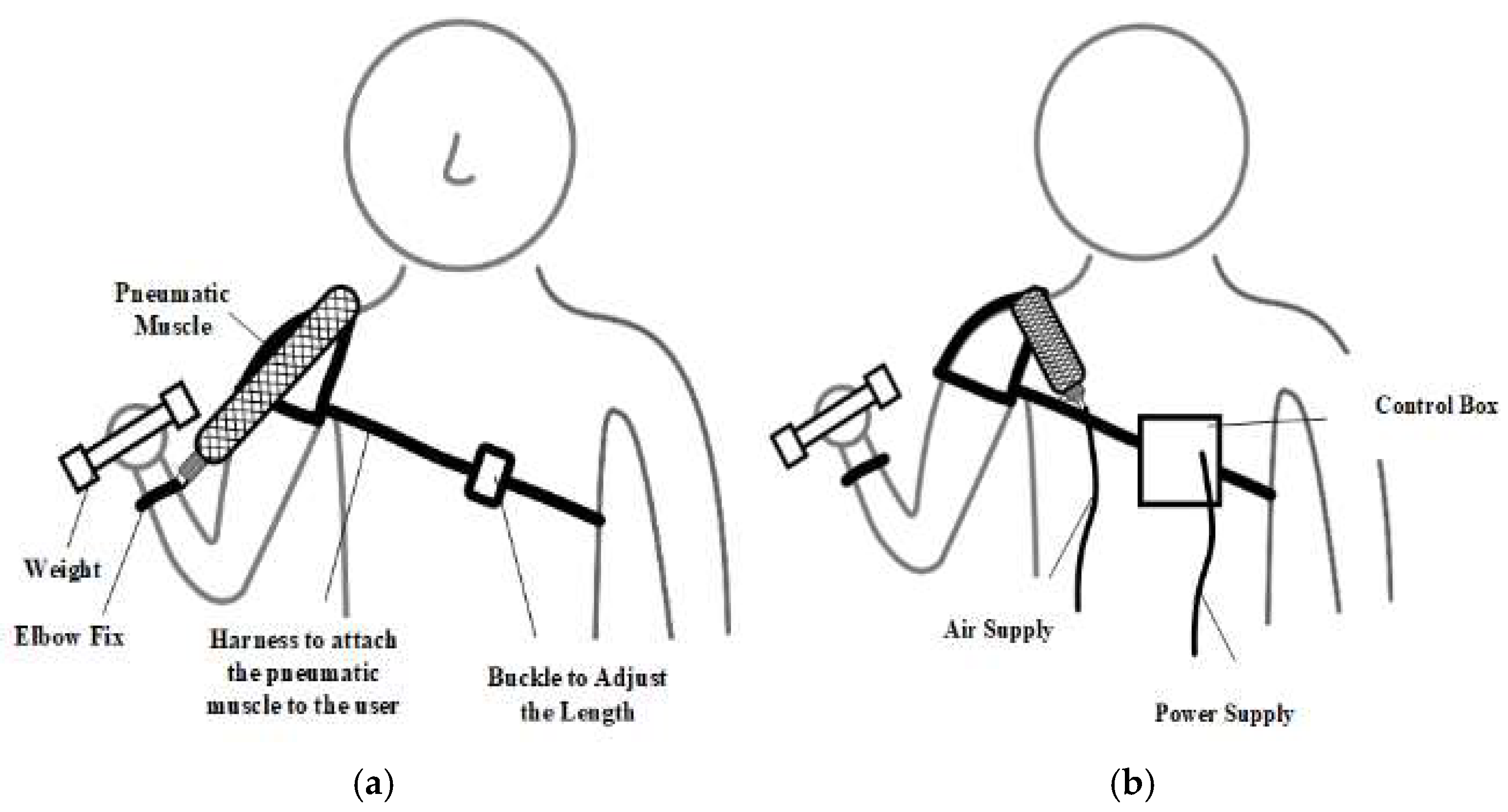 Bioengineering 12 00526 g012