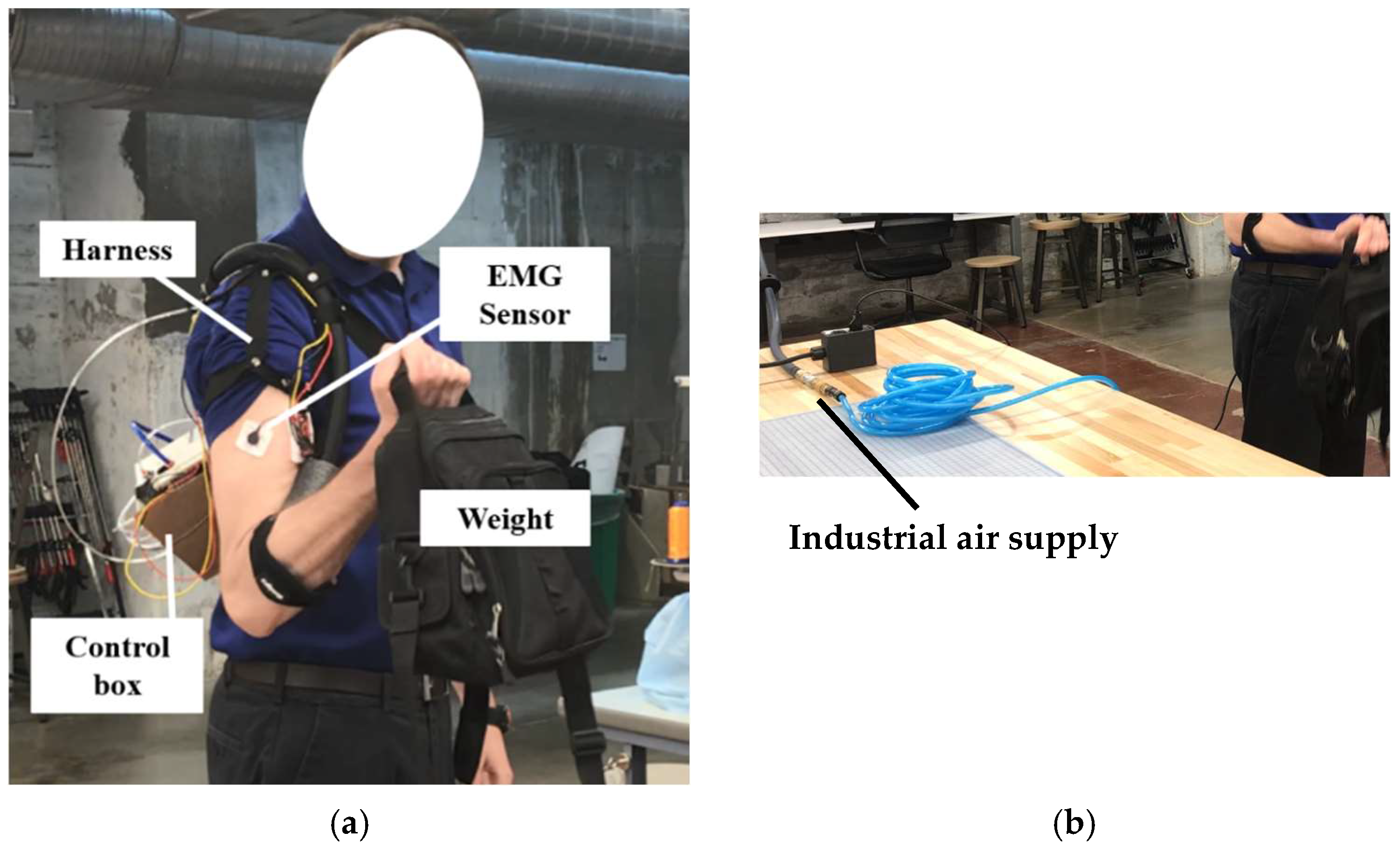 Bioengineering 12 00526 g013