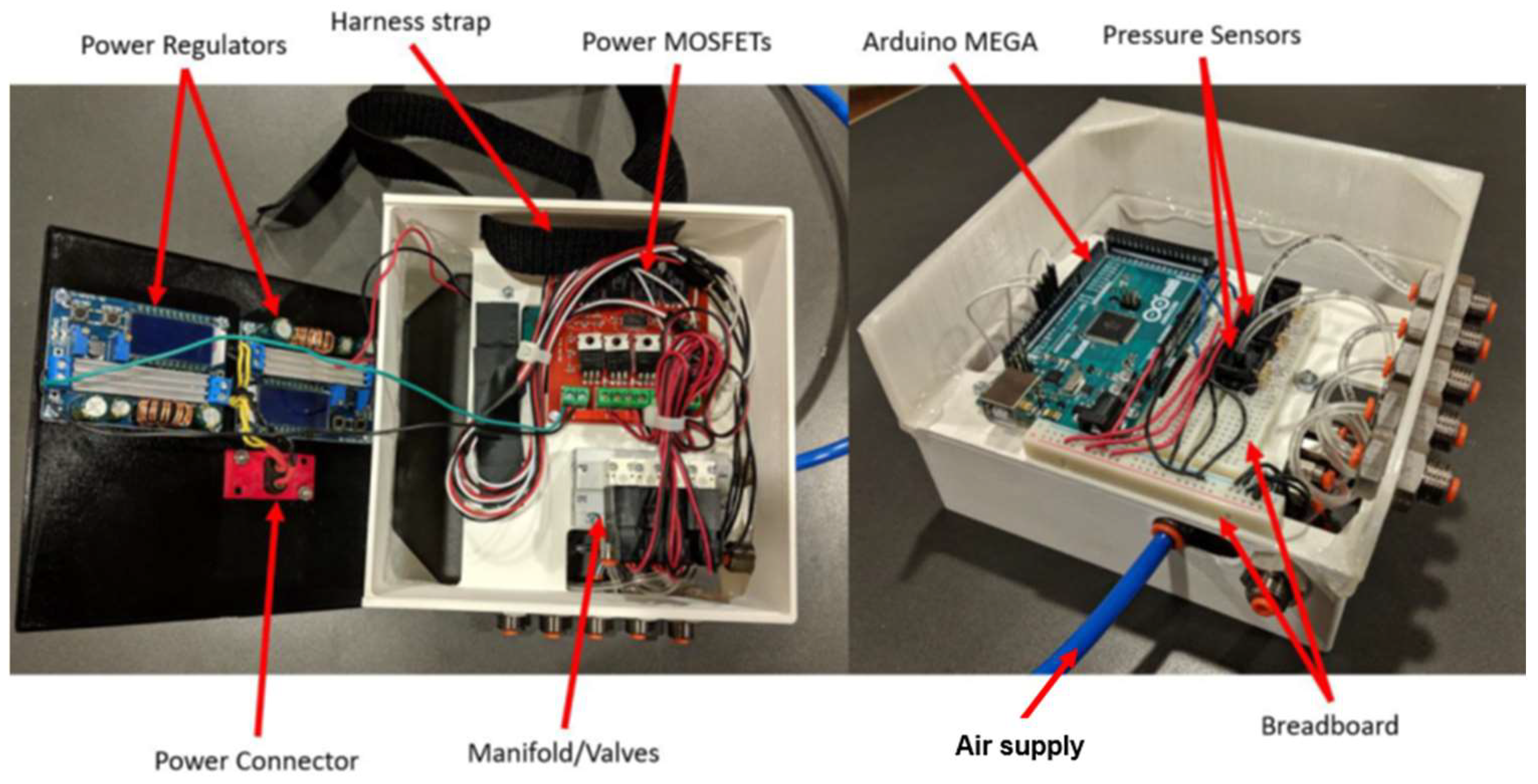 Bioengineering 12 00526 g014