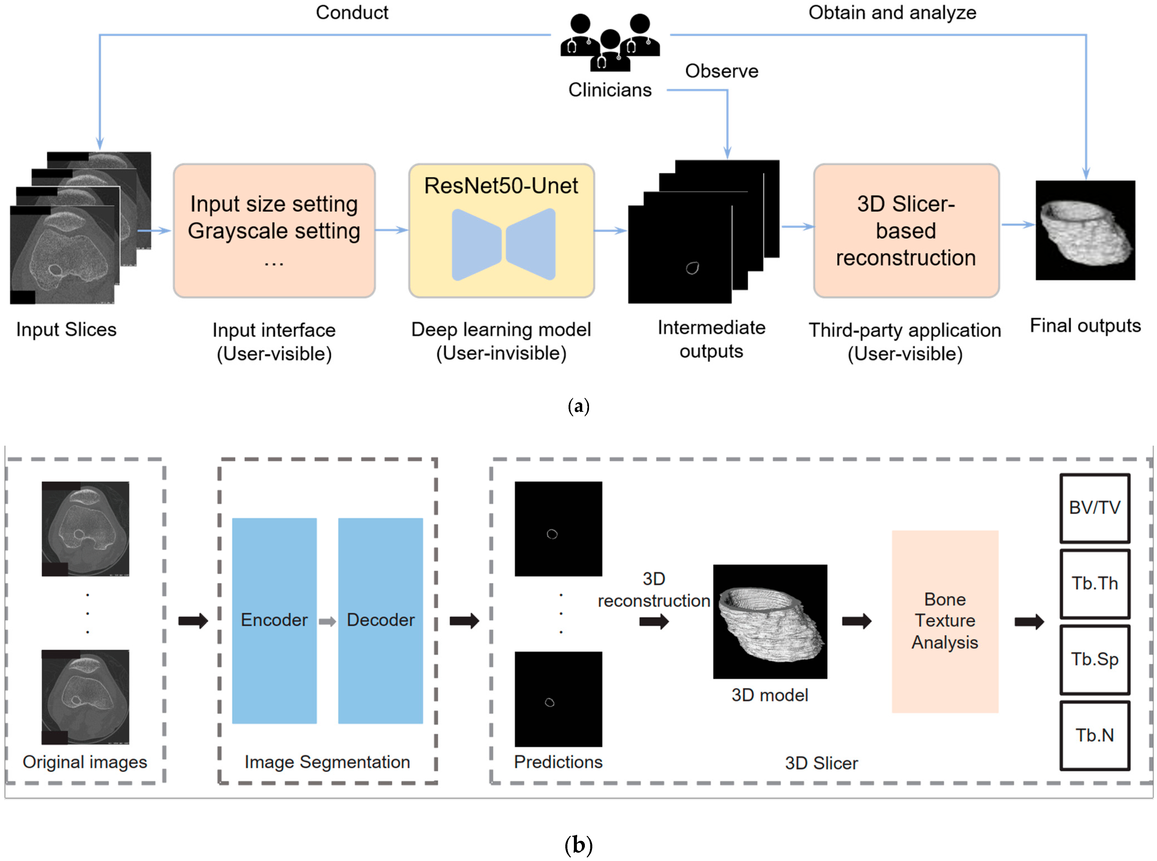 Bioengineering 12 00527 g002