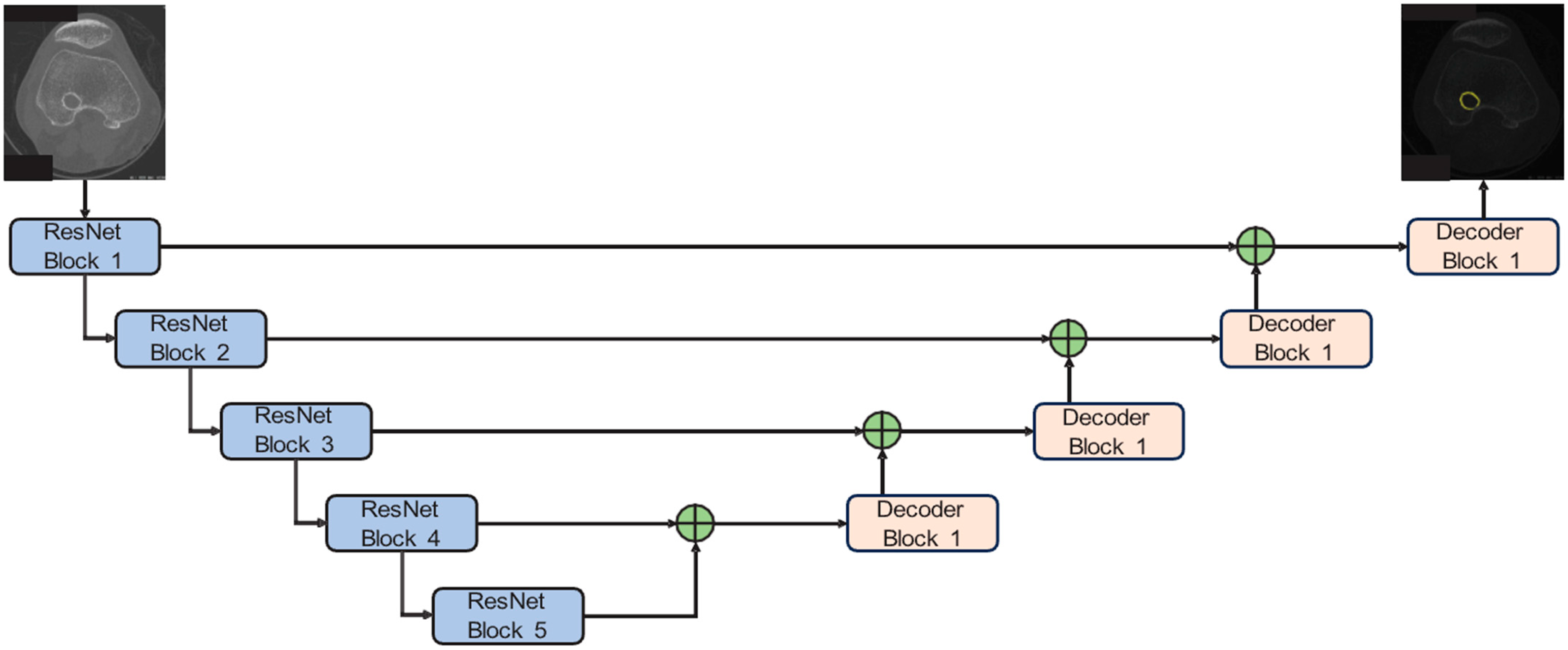 Bioengineering 12 00527 g003