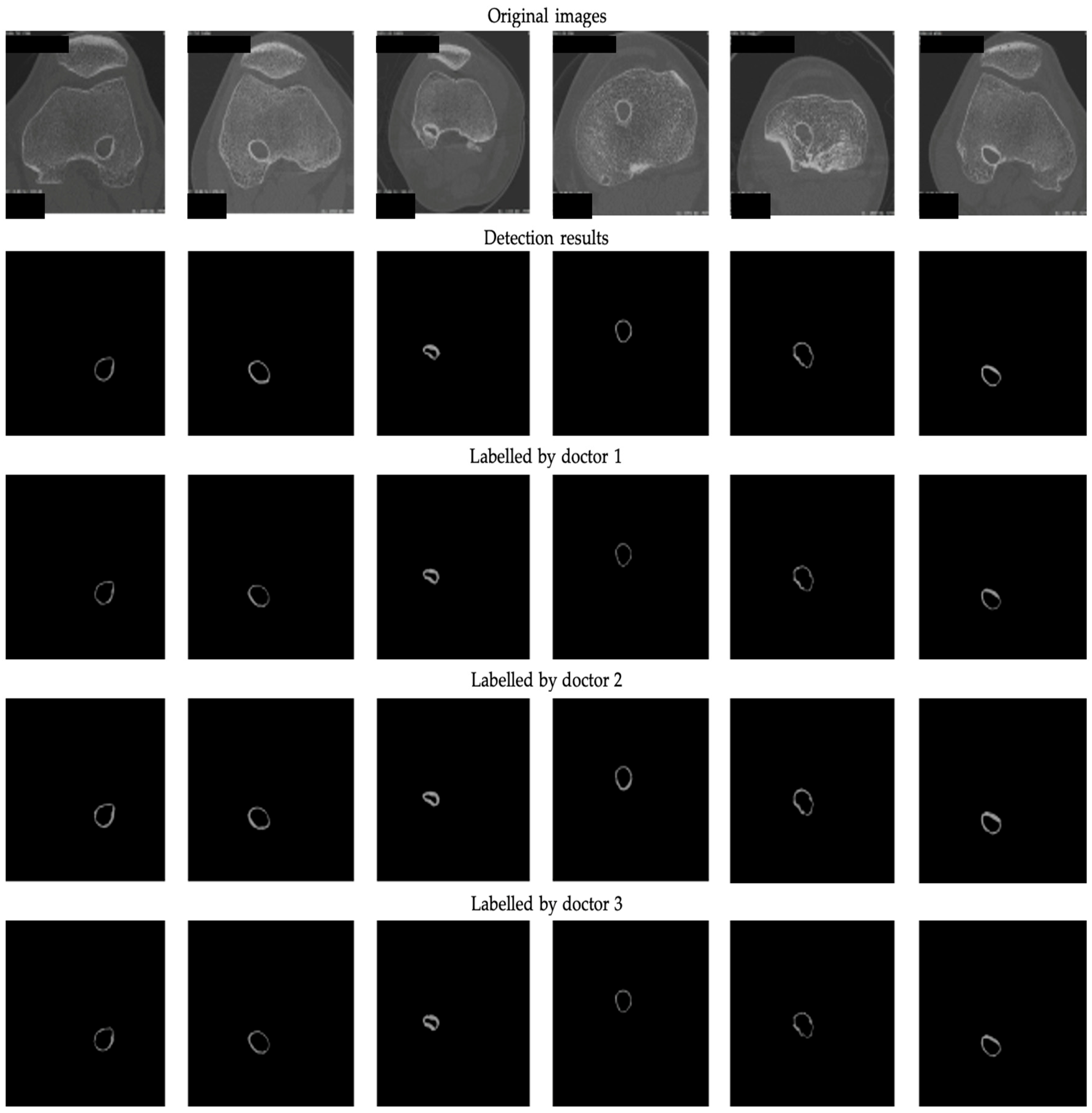 Bioengineering 12 00527 g004