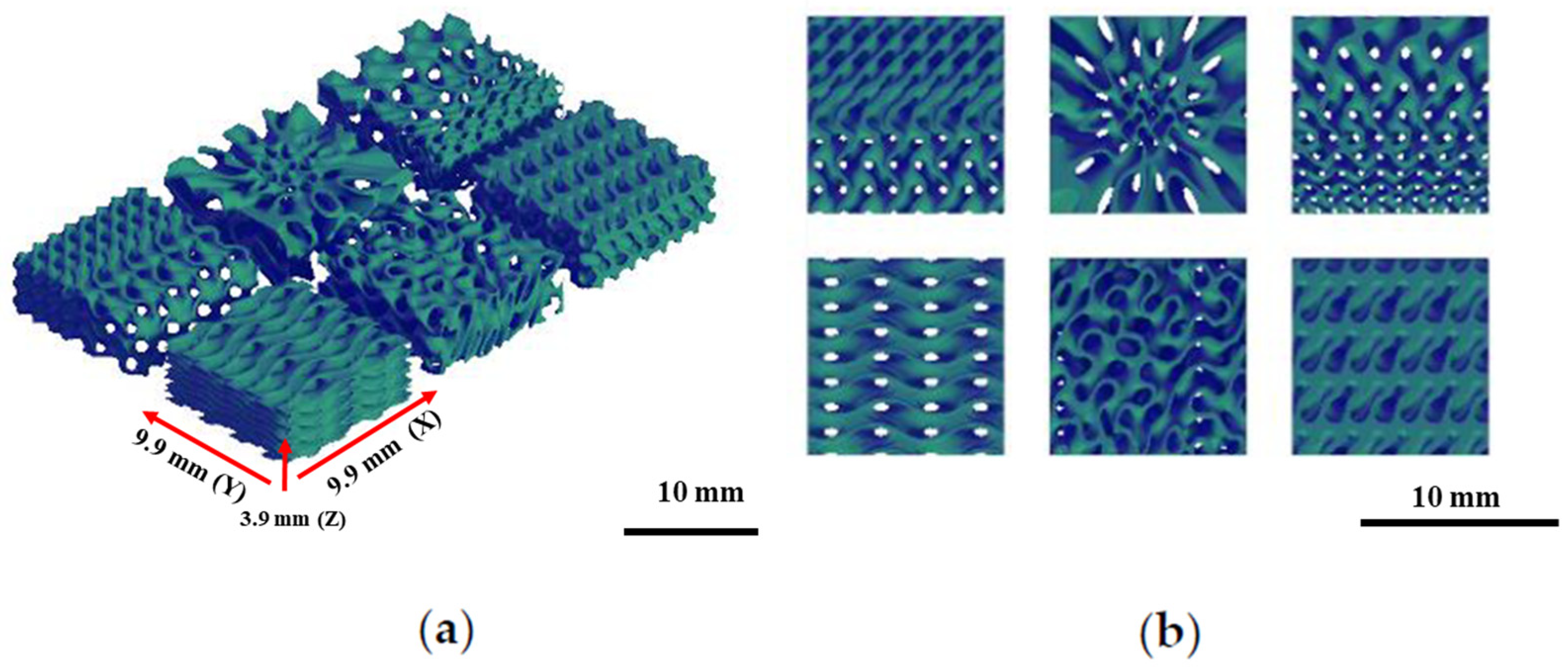 Bioengineering 12 00529 g002