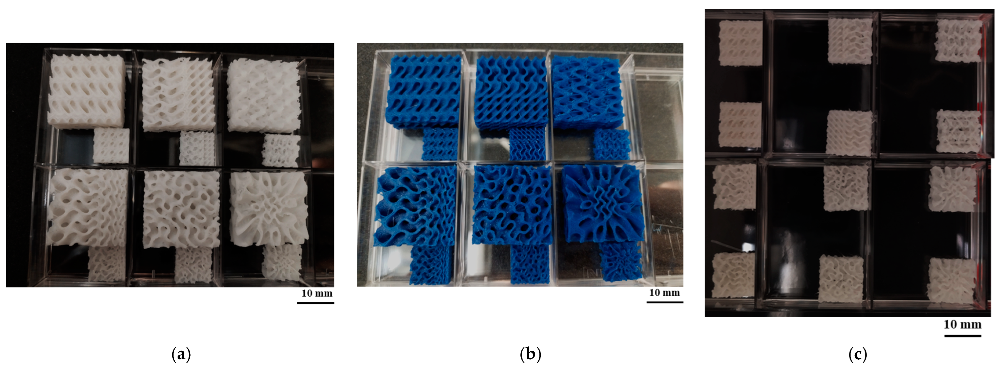 Bioengineering 12 00529 g007