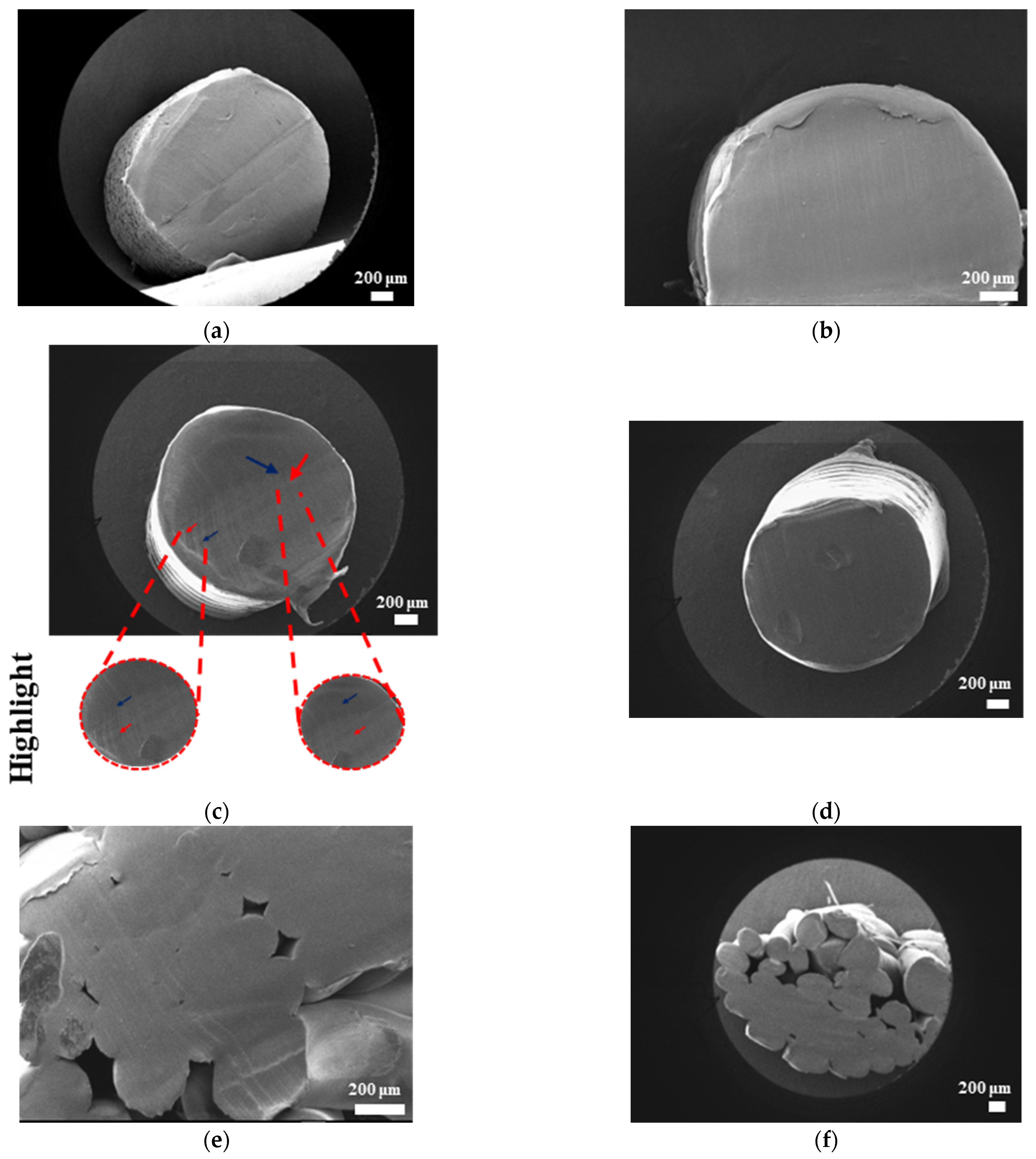 Bioengineering 12 00529 g010a