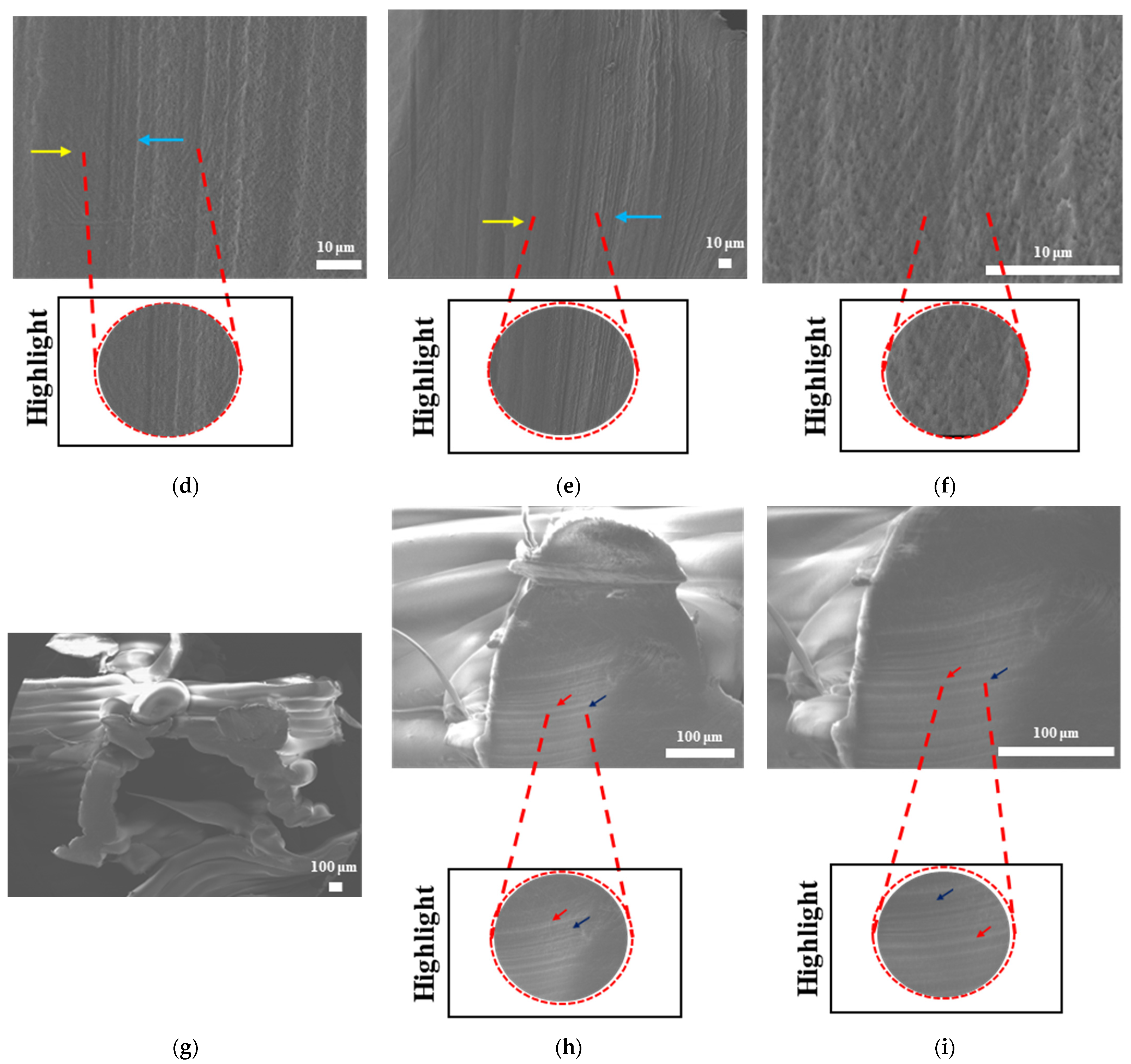 Bioengineering 12 00529 g011b