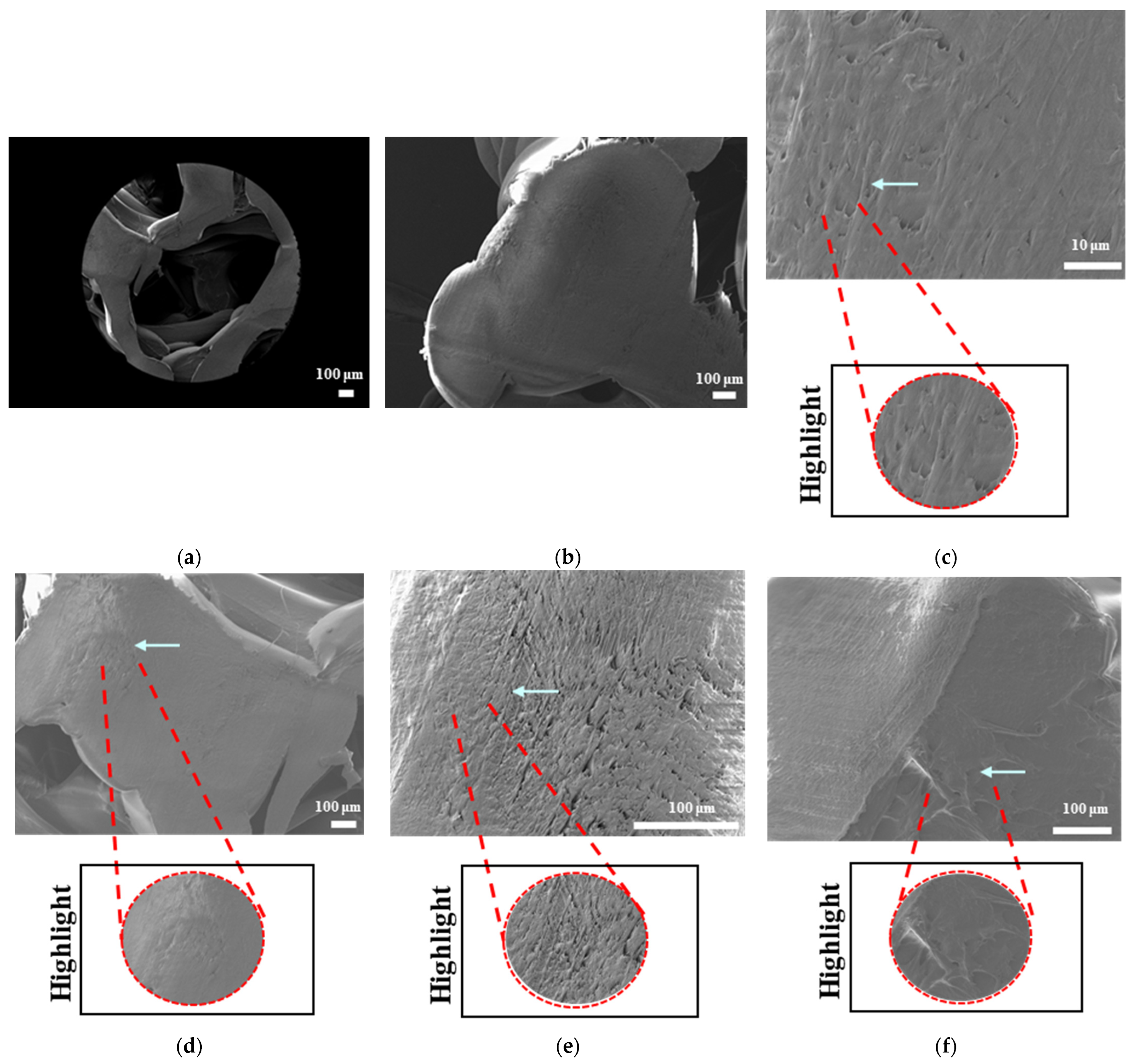 Bioengineering 12 00529 g012a