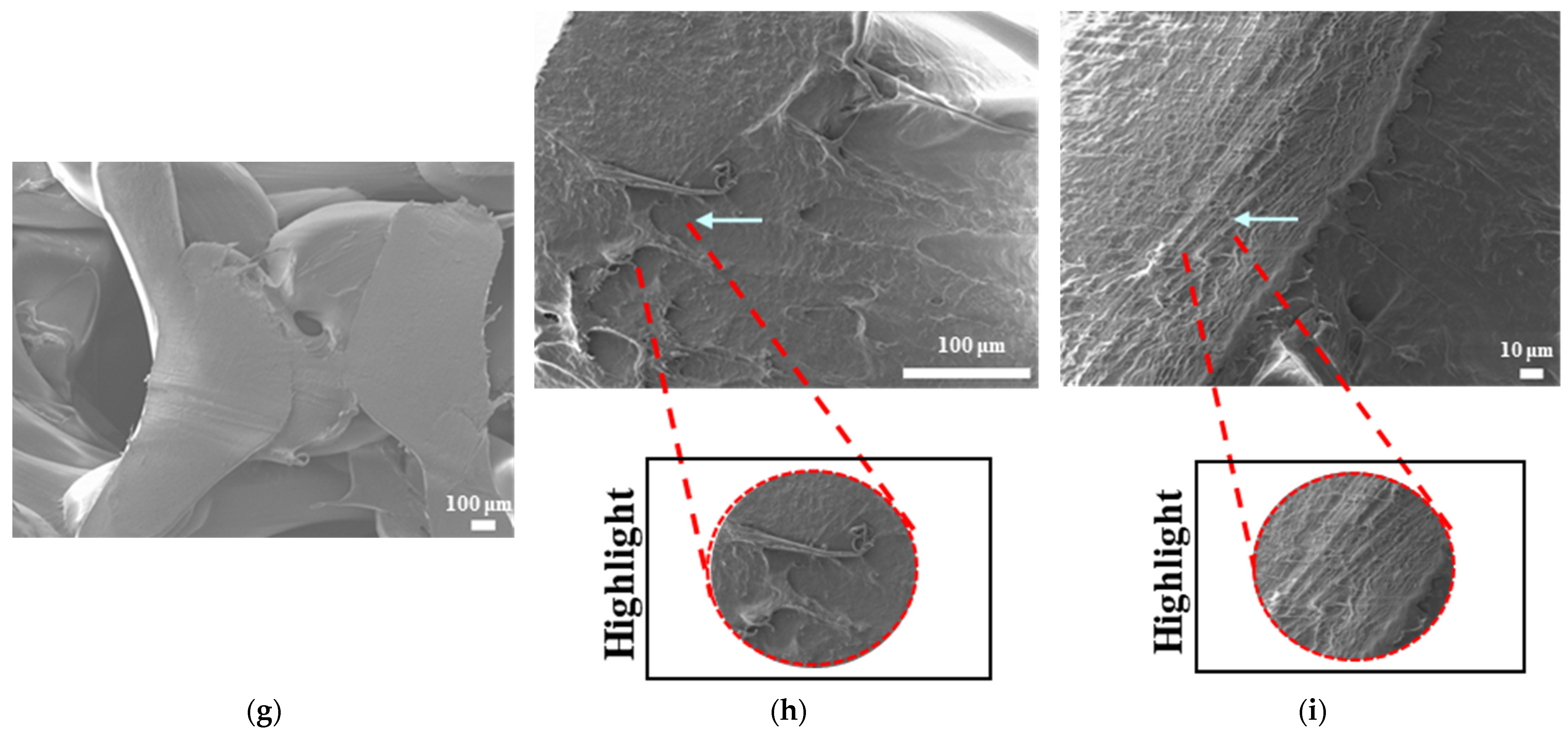 Bioengineering 12 00529 g012b