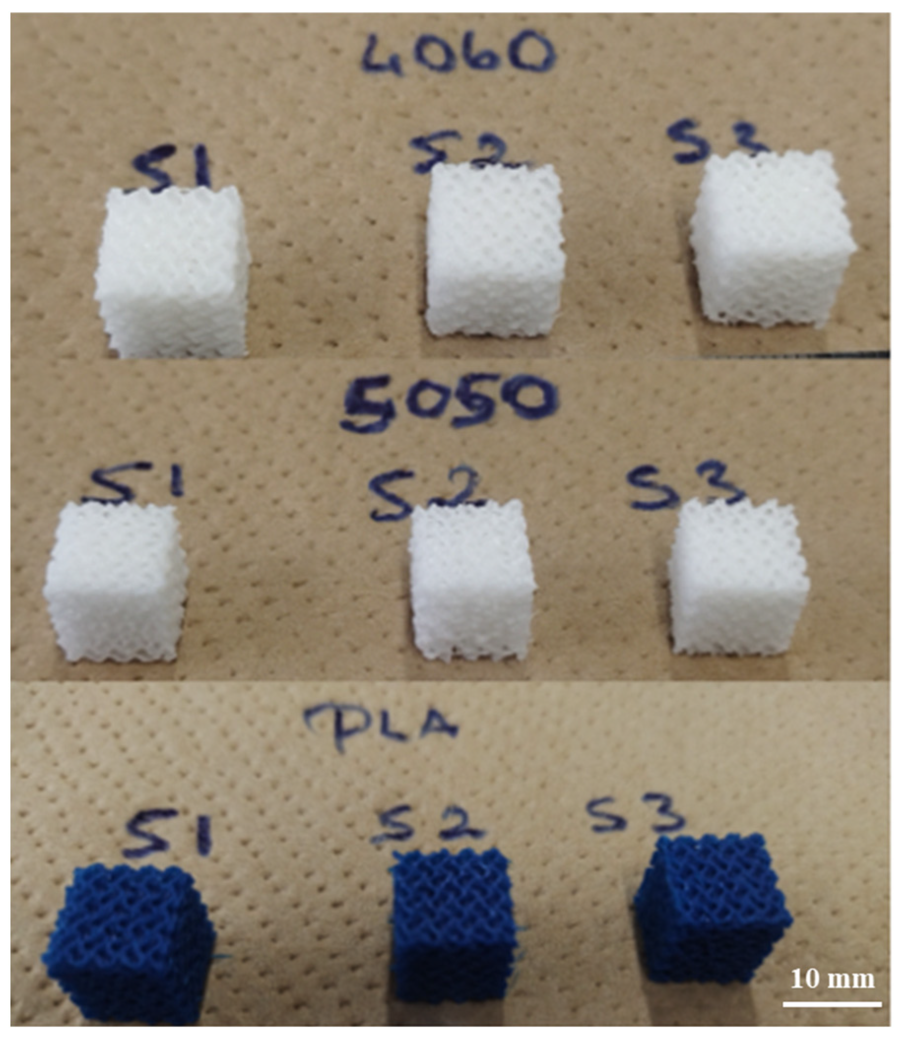 Bioengineering 12 00529 g016
