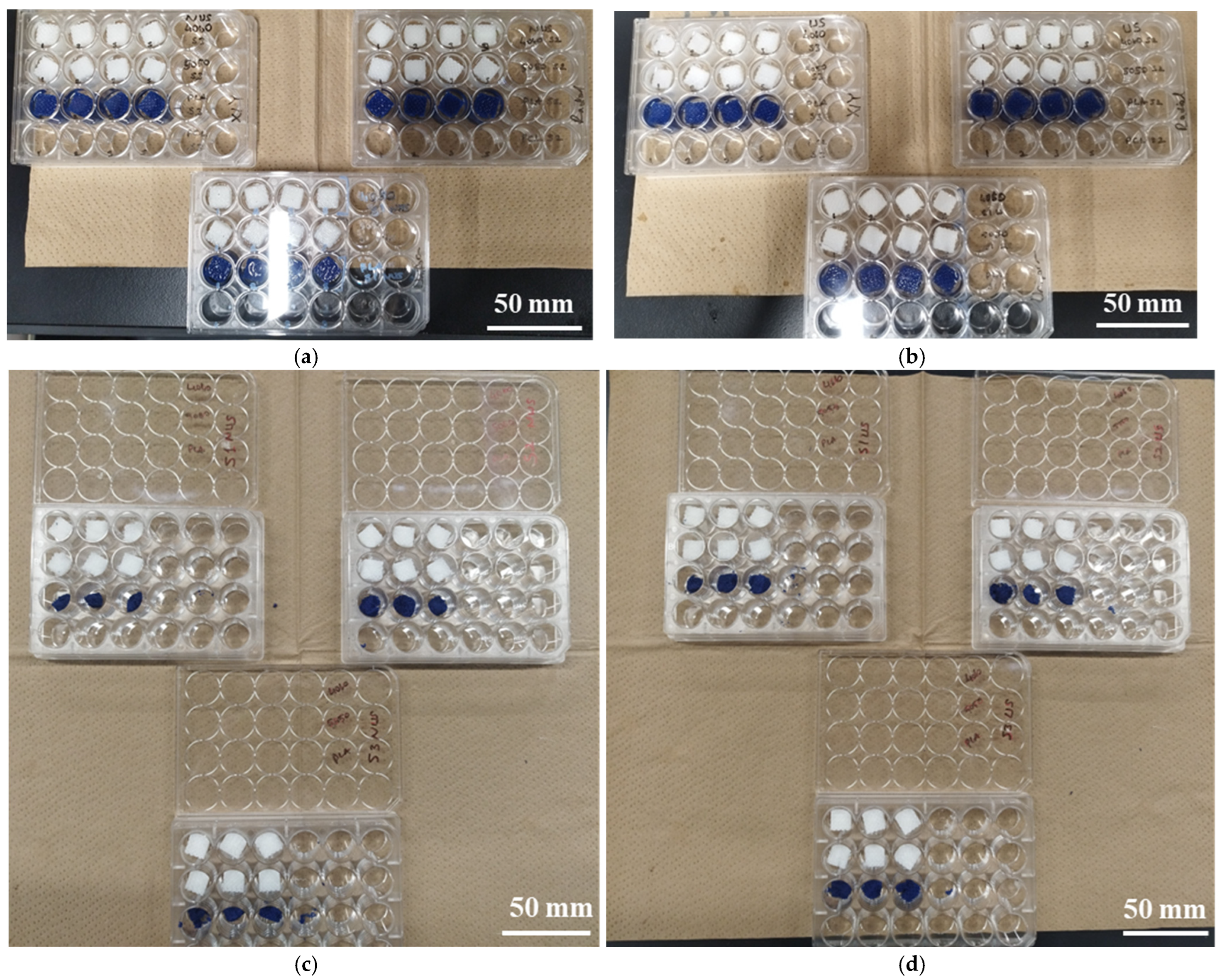 Bioengineering 12 00529 g017