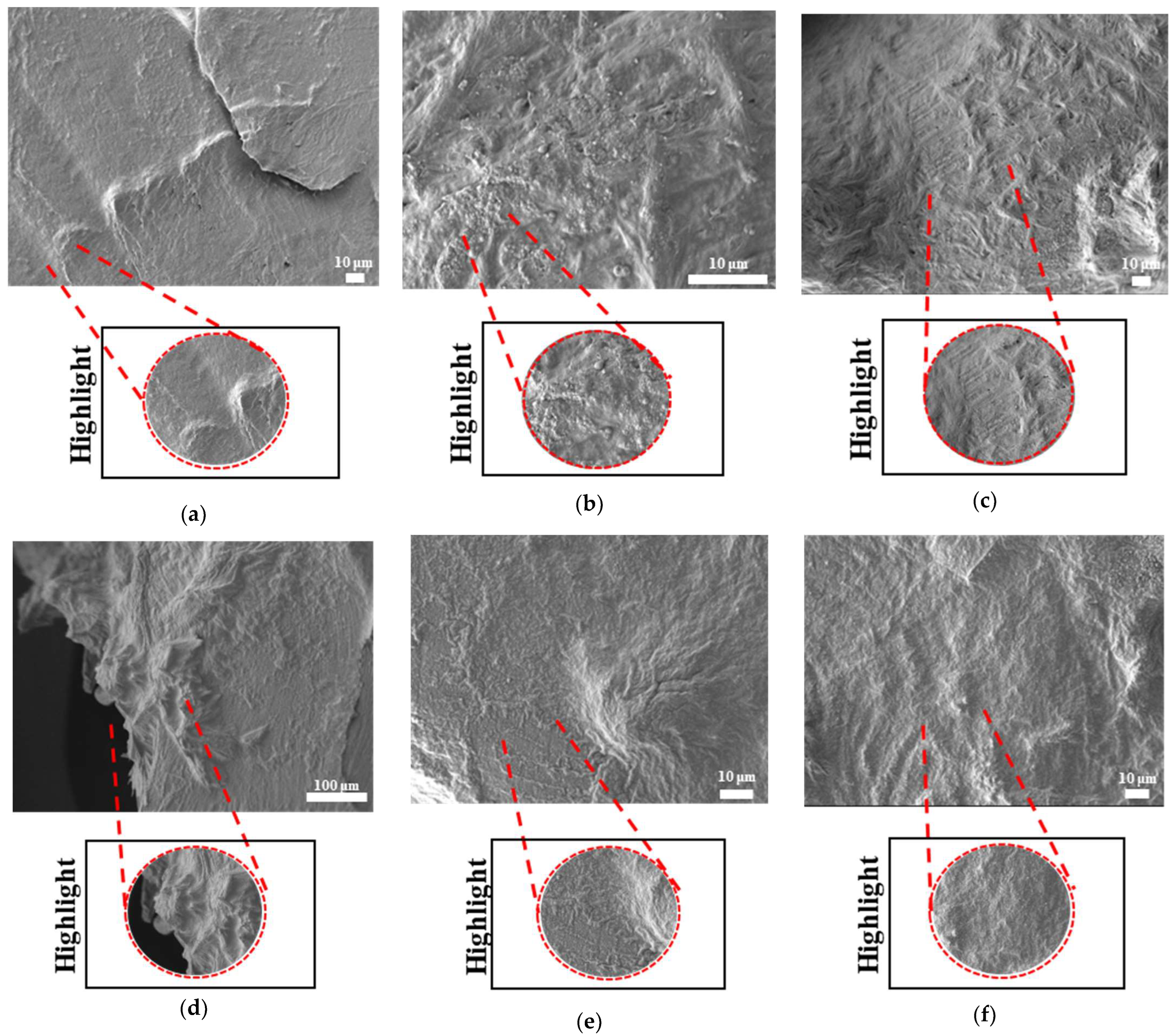 Bioengineering 12 00529 g019a
