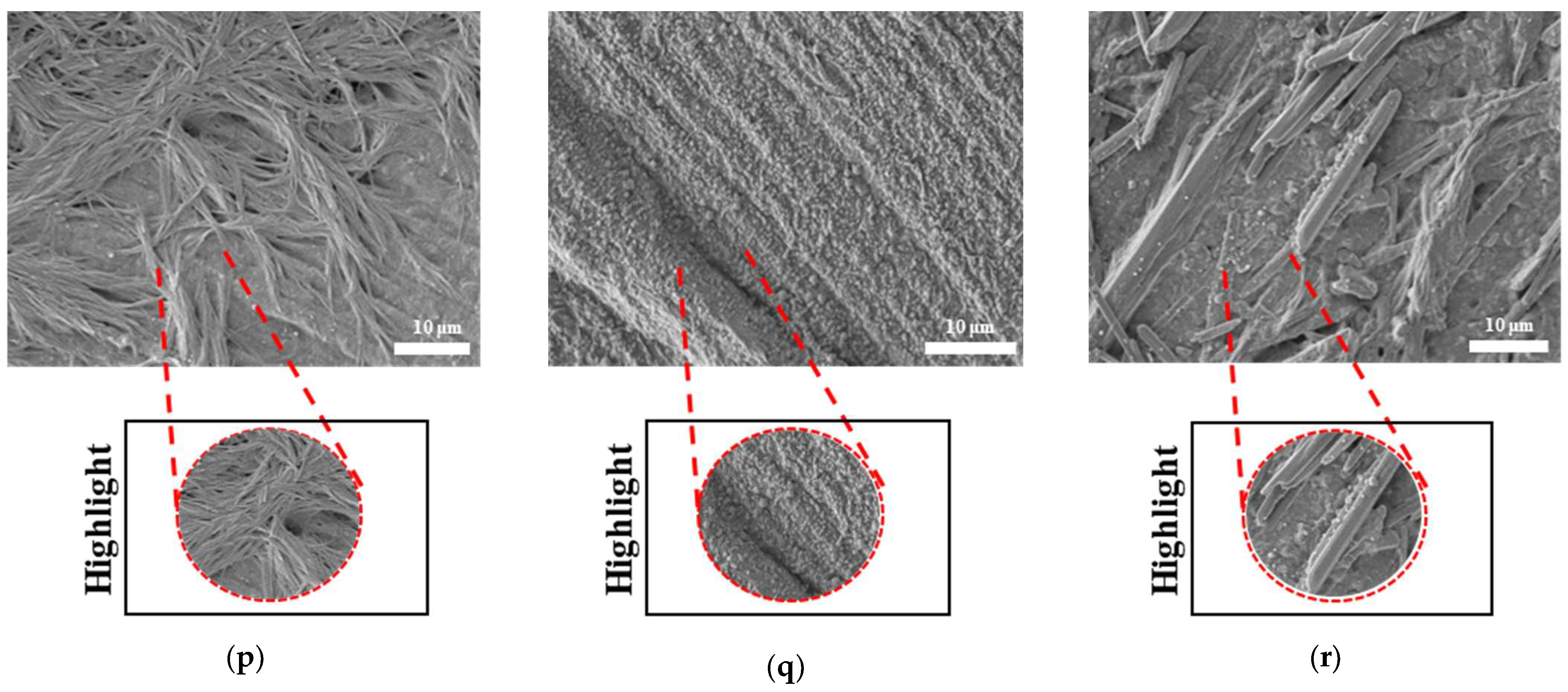 Bioengineering 12 00529 g019c
