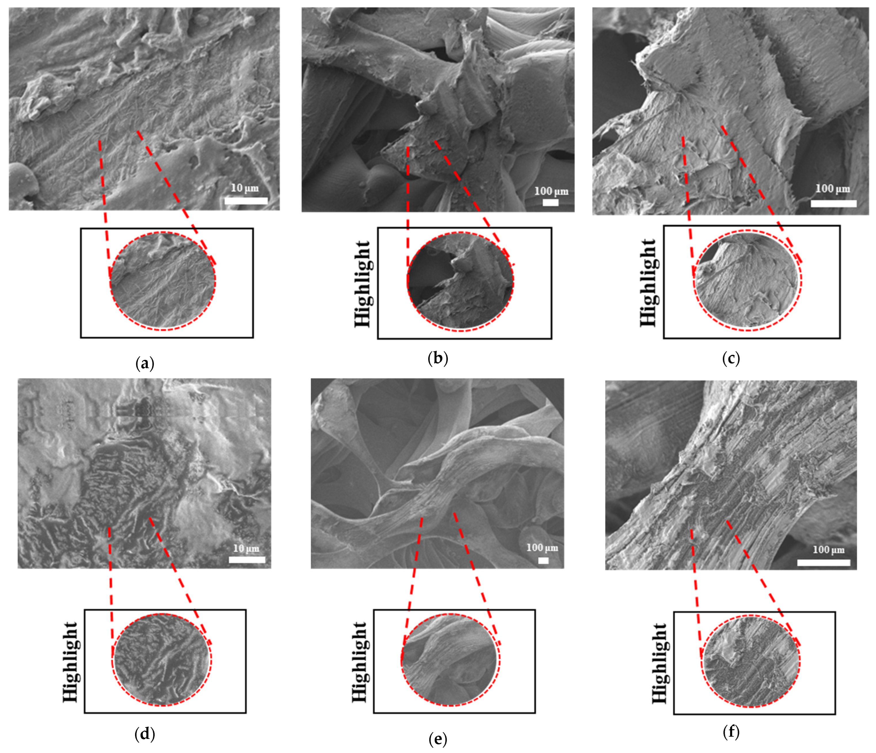Bioengineering 12 00529 g020a