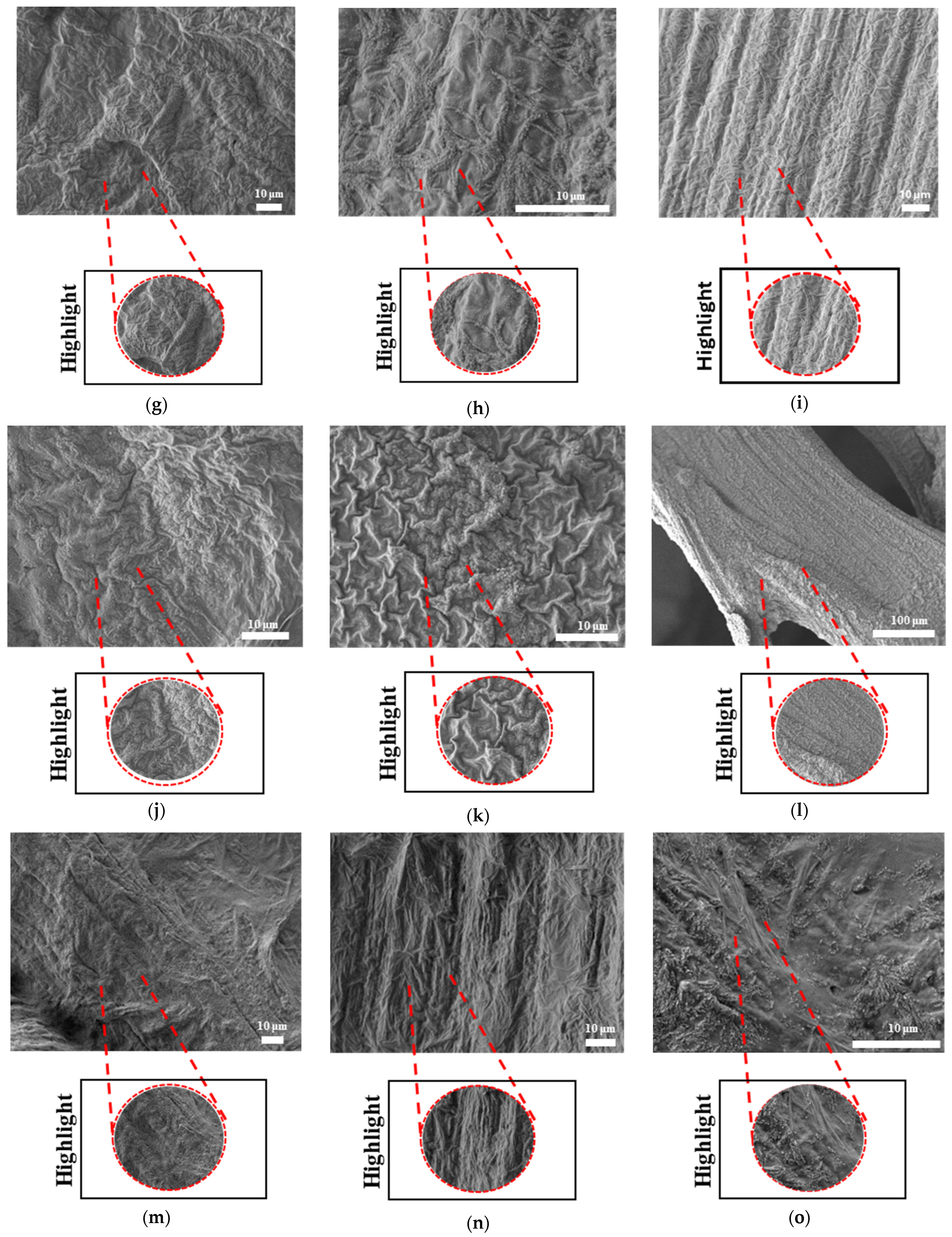 Bioengineering 12 00529 g020b