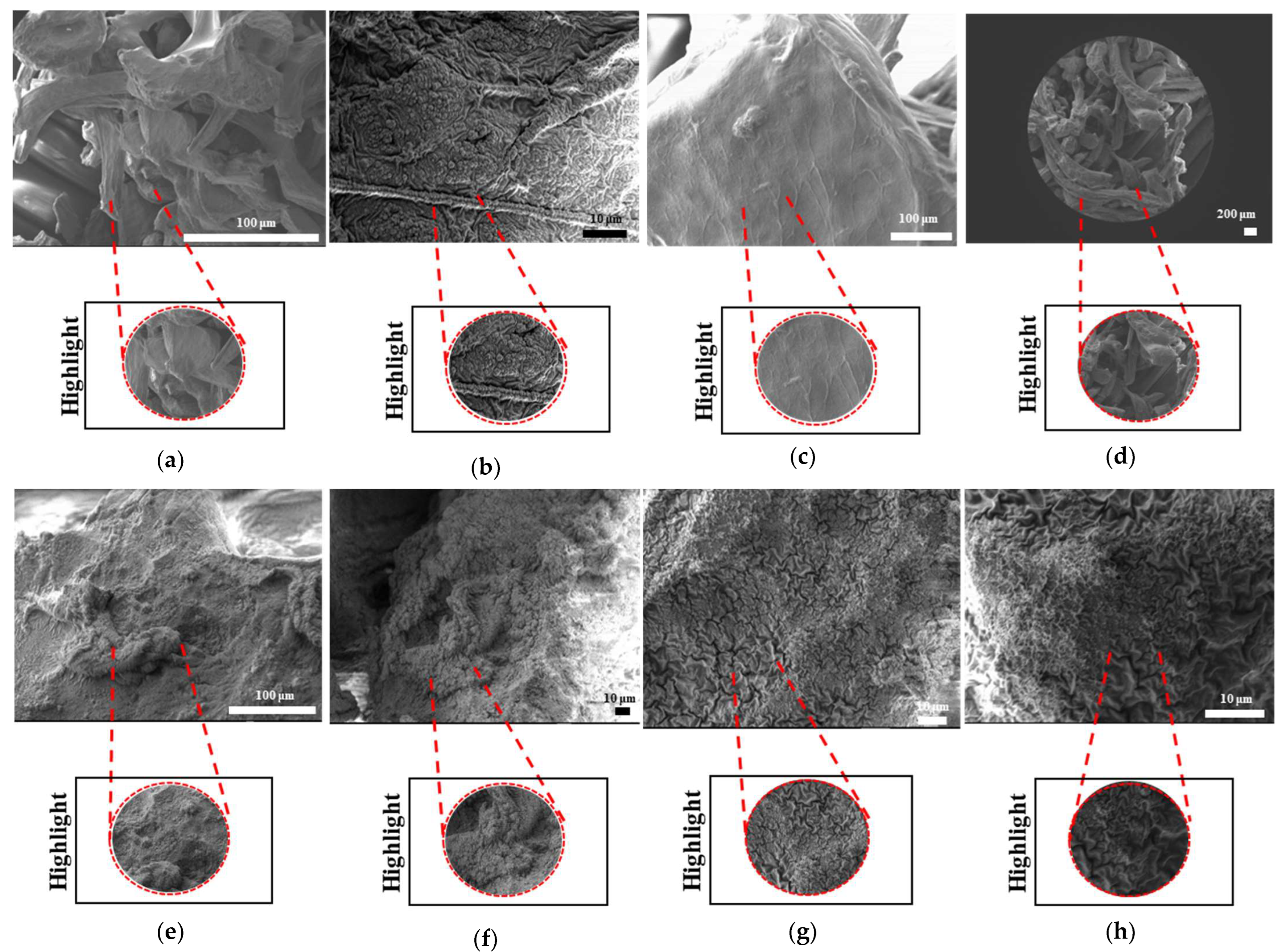 Bioengineering 12 00529 g021a