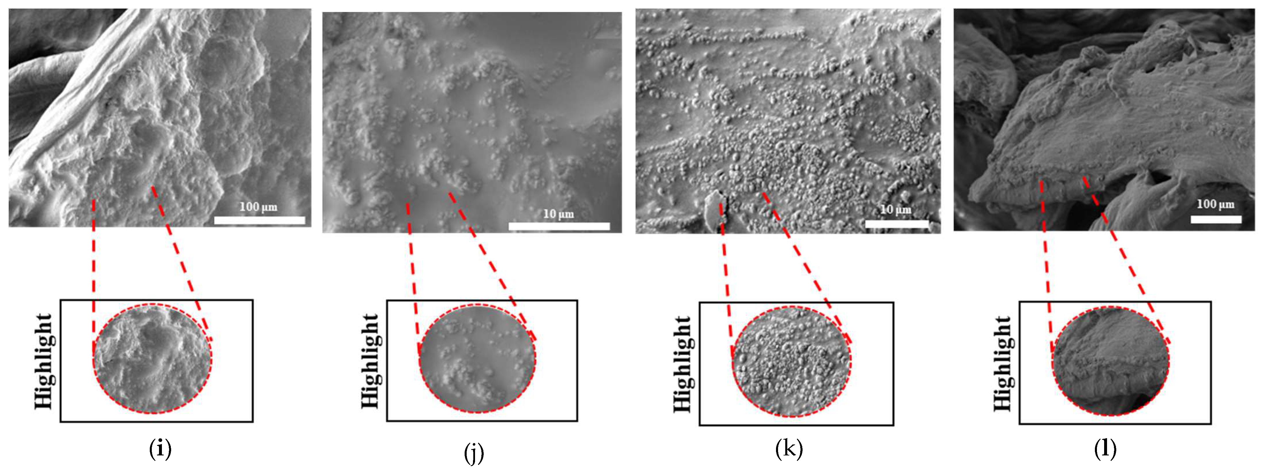 Bioengineering 12 00529 g021b