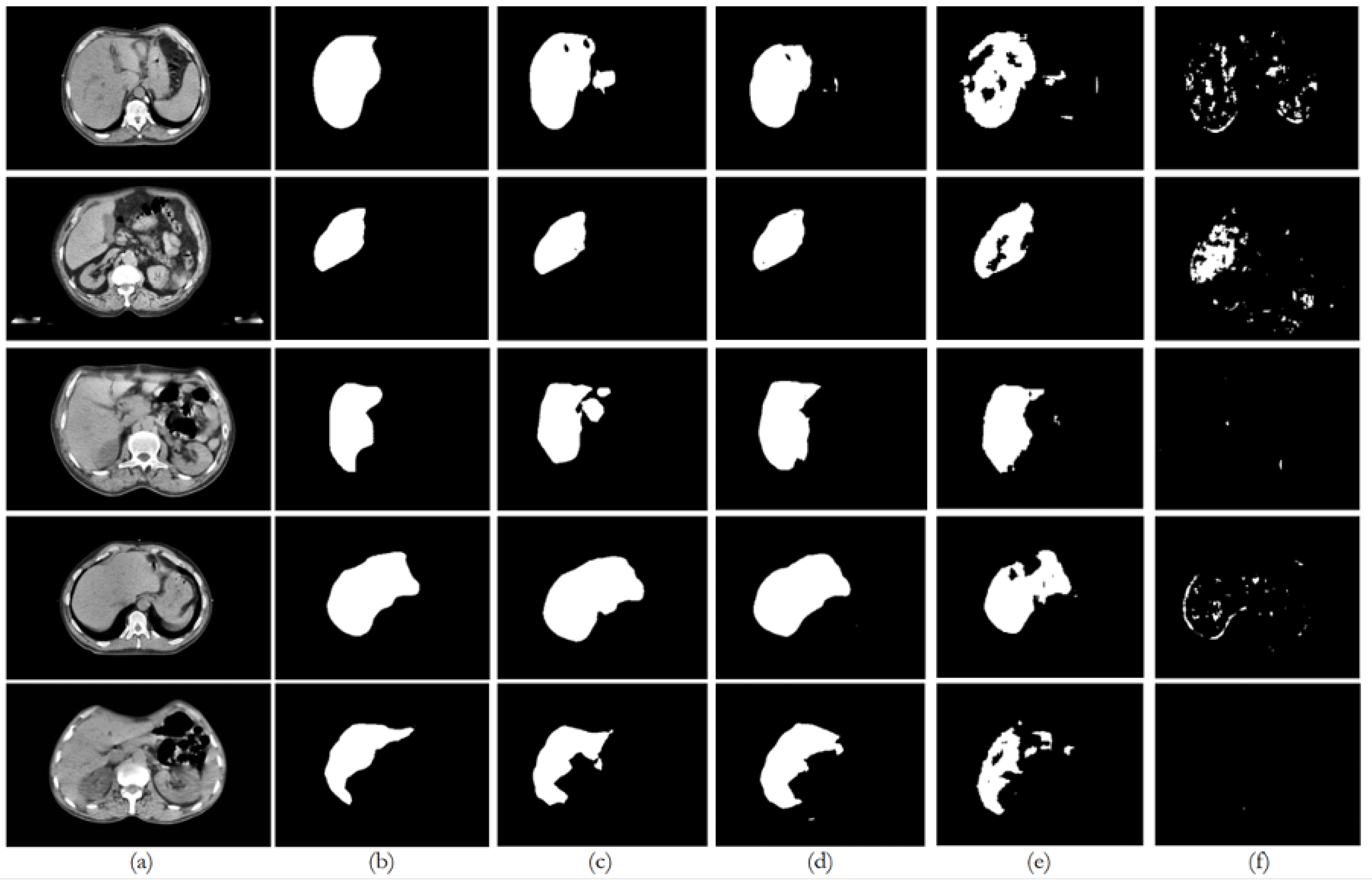 Bioengineering 12 00530 g010