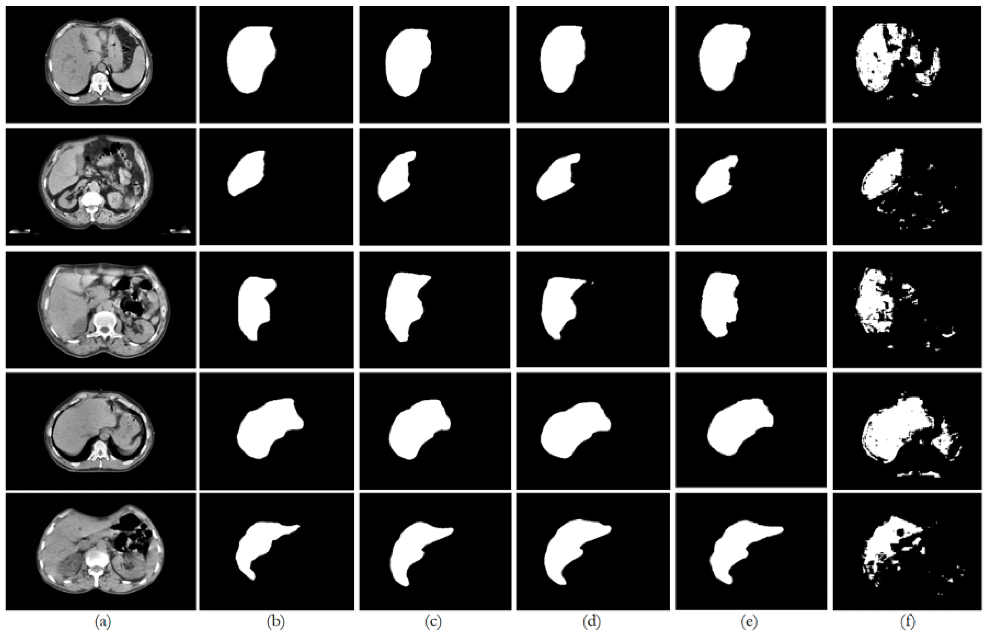 Bioengineering 12 00530 g013