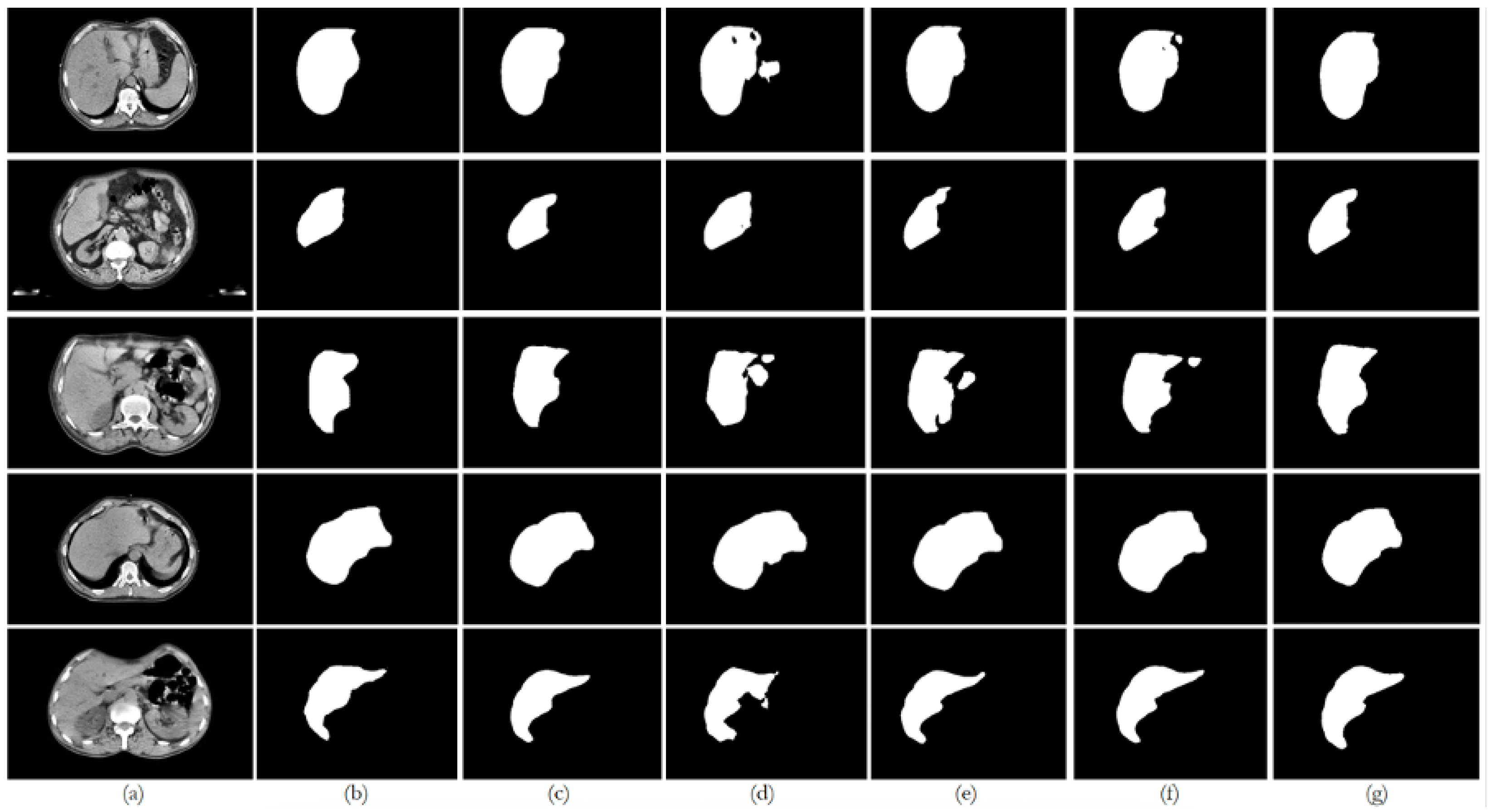 Bioengineering 12 00530 g0a1