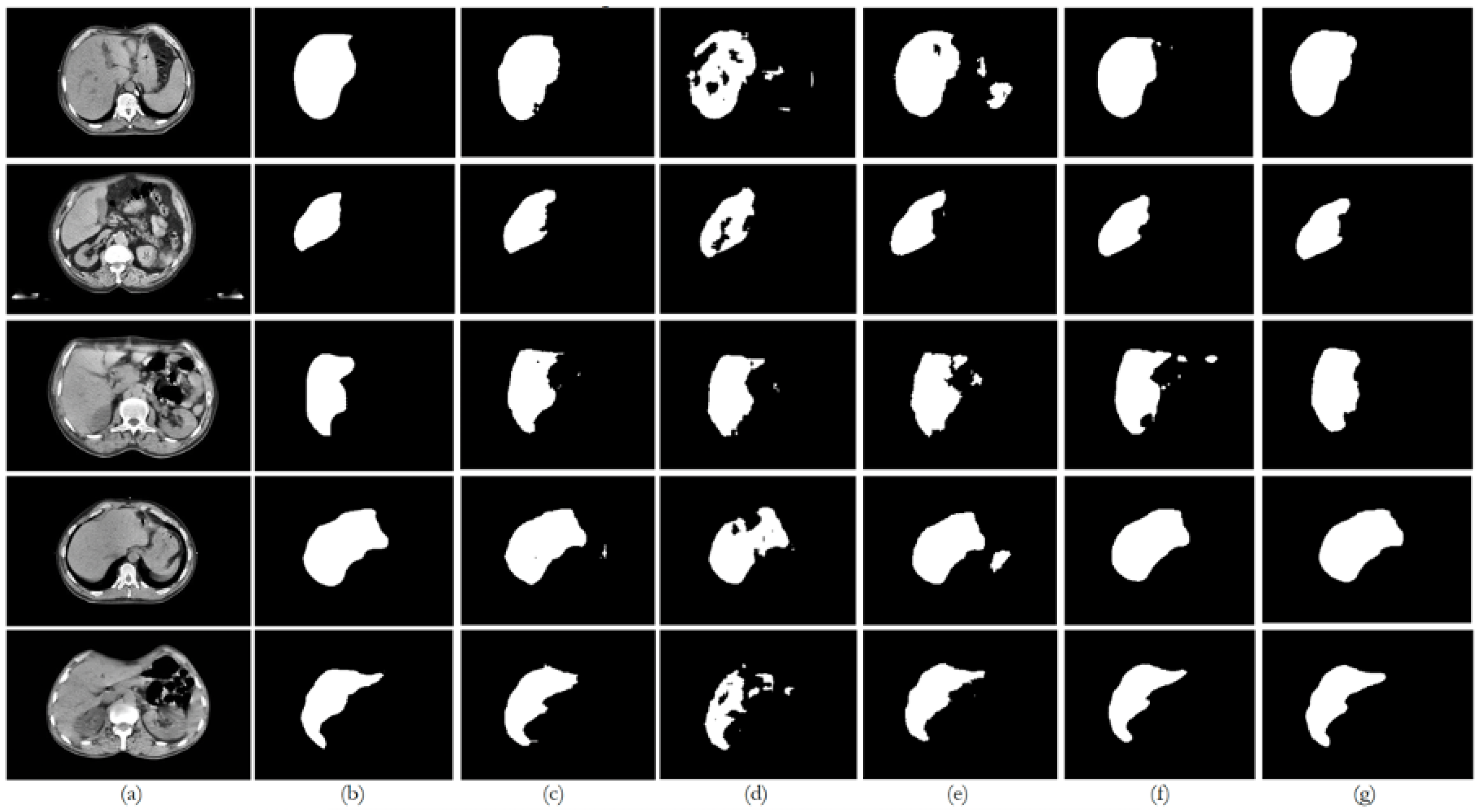 Bioengineering 12 00530 g0a3