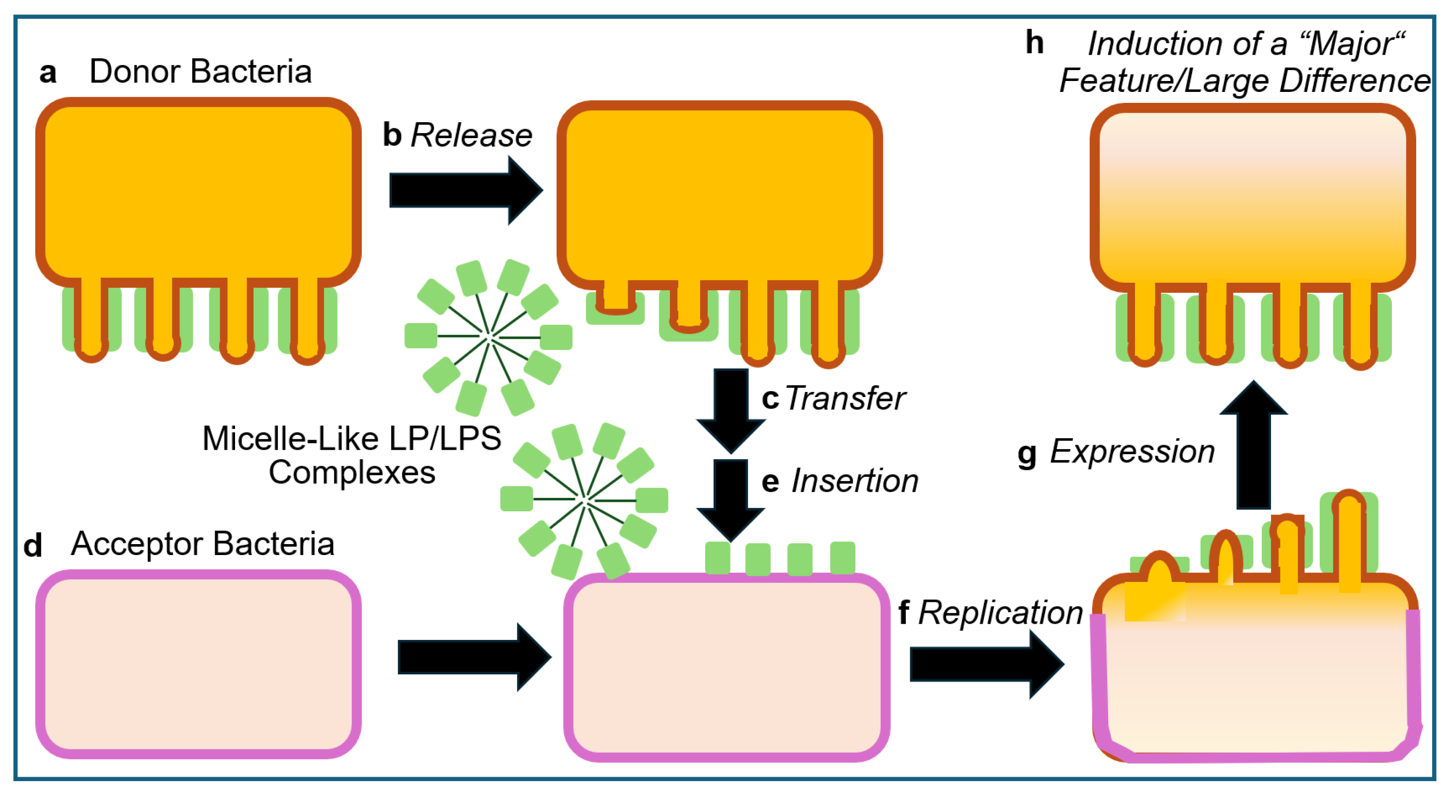 Bioengineering 12 00532 g005
