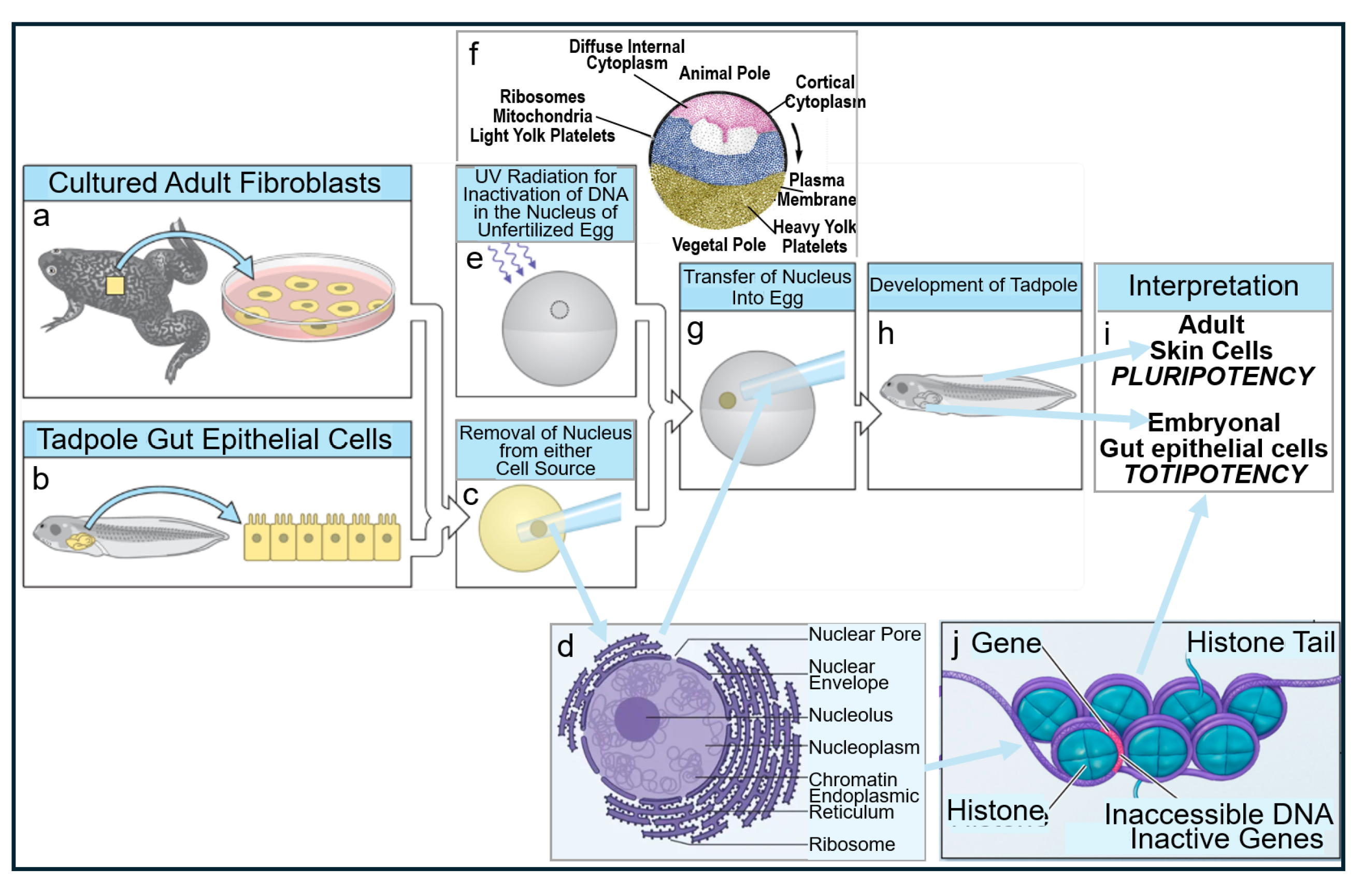 Bioengineering 12 00532 g009