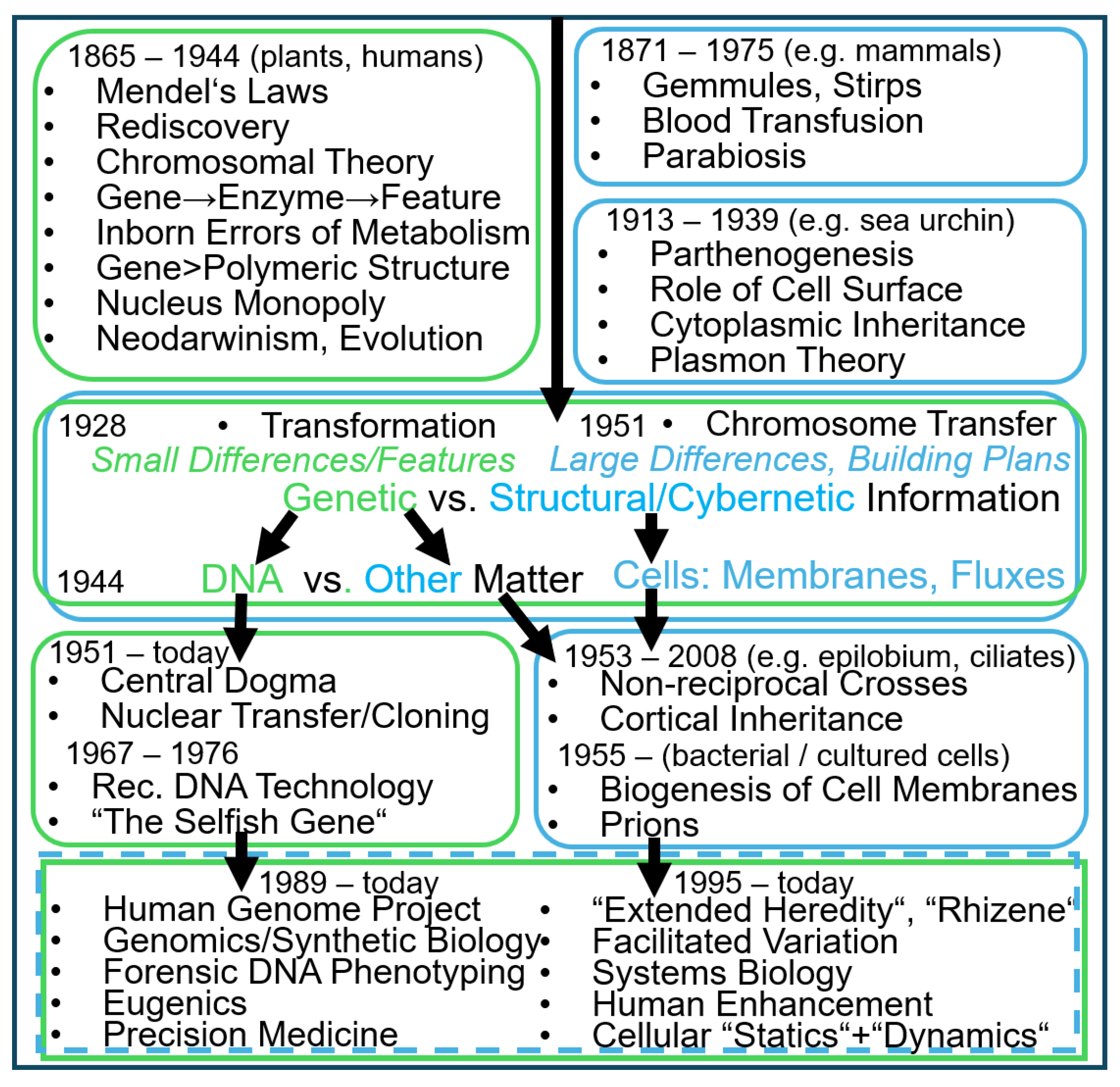 Bioengineering 12 00532 g012