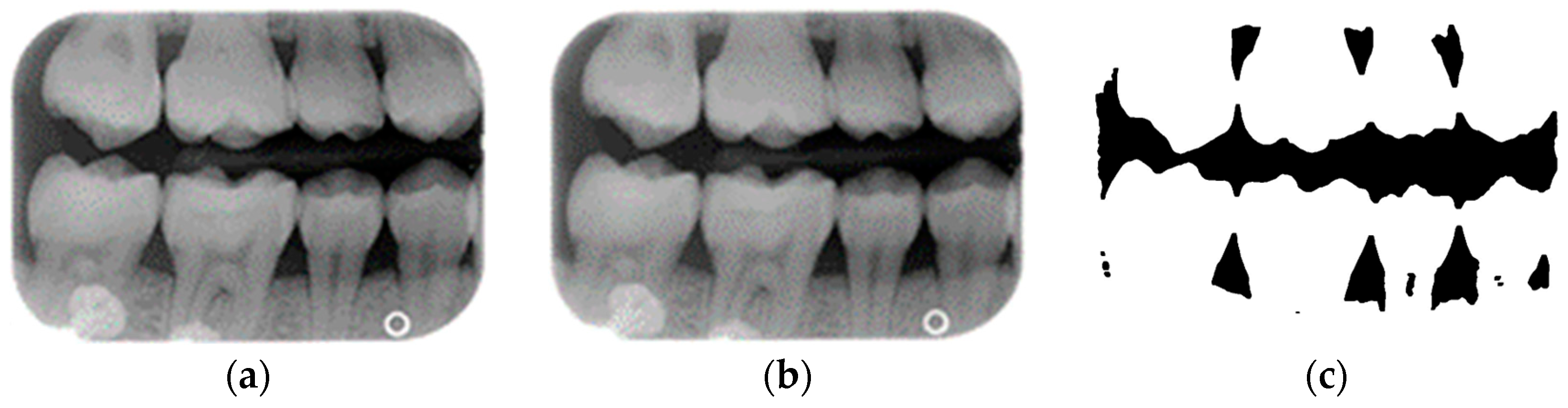 Bioengineering 12 00533 g003