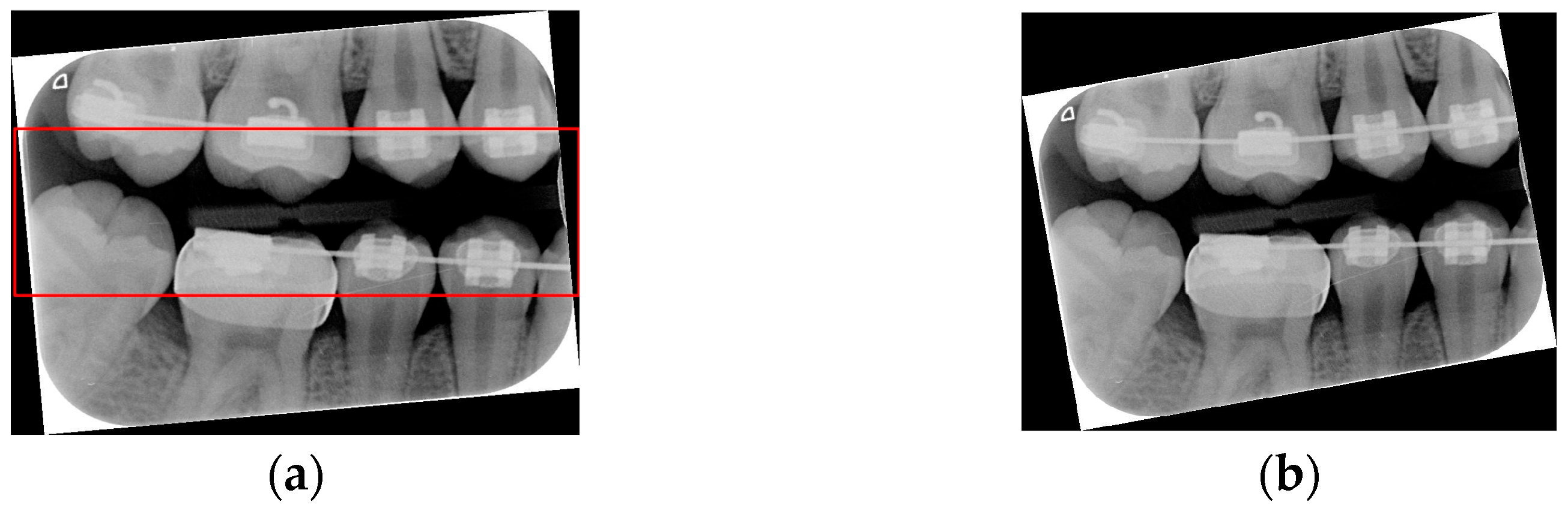 Bioengineering 12 00533 g004