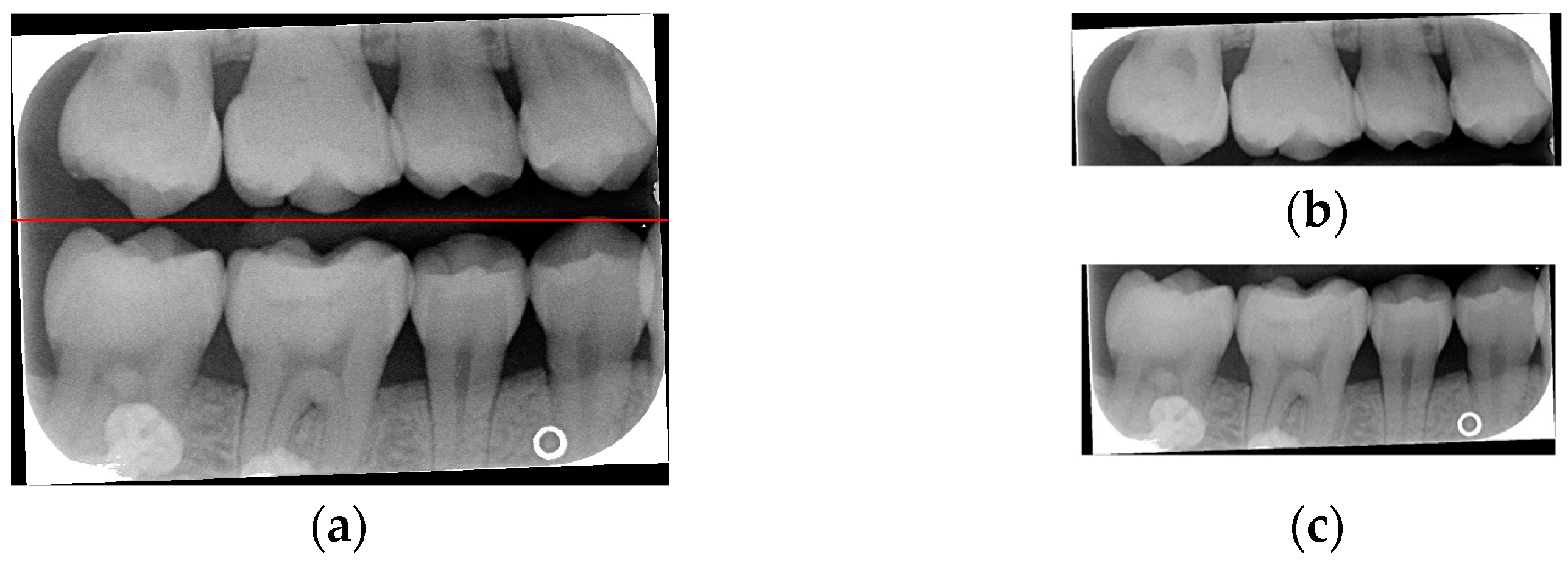 Bioengineering 12 00533 g005