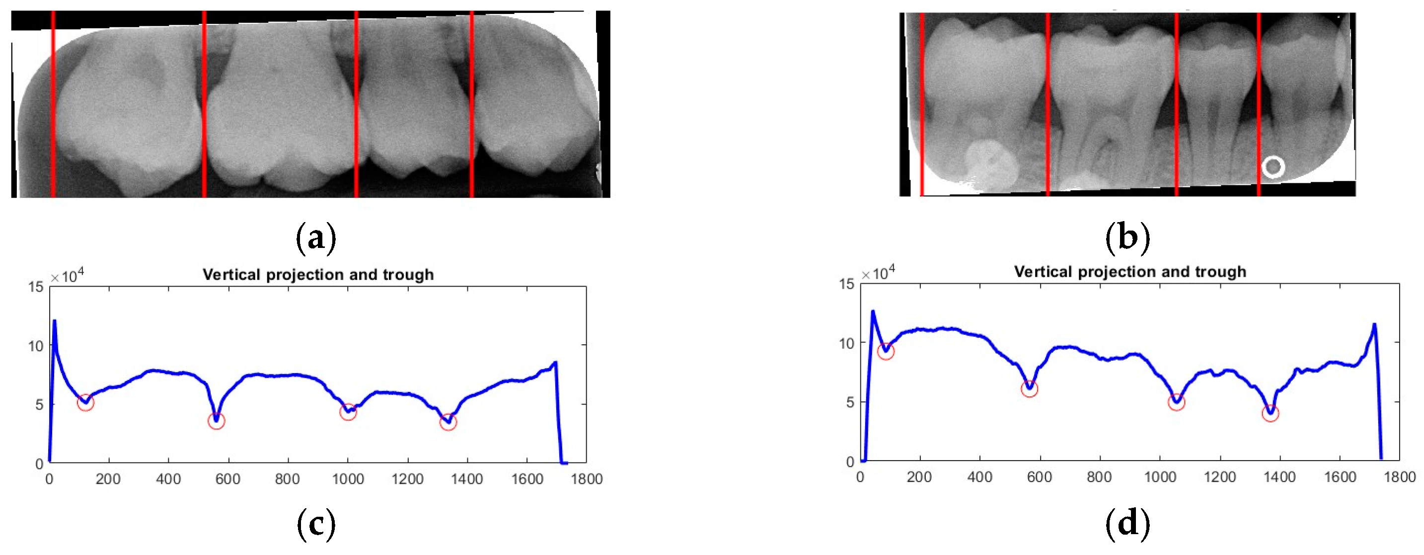 Bioengineering 12 00533 g006