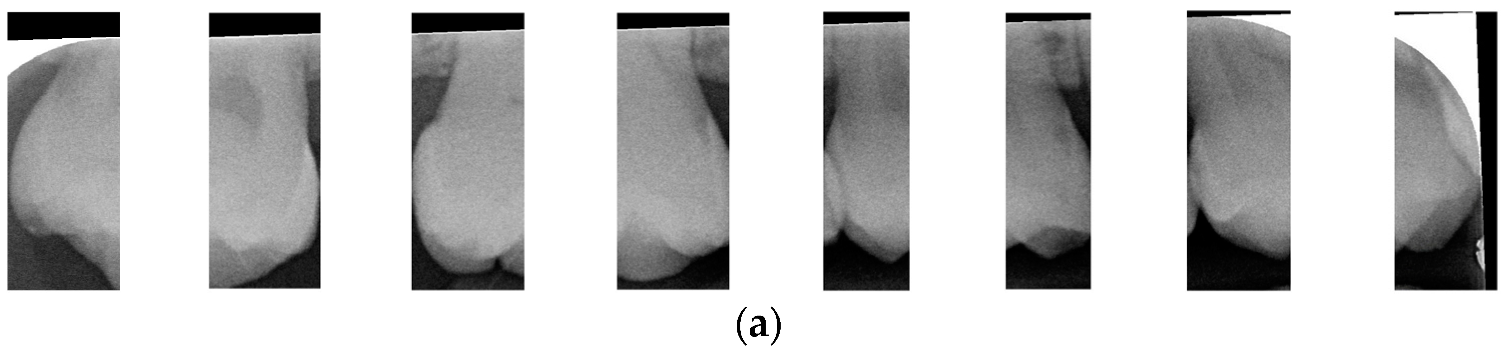 Bioengineering 12 00533 g007a