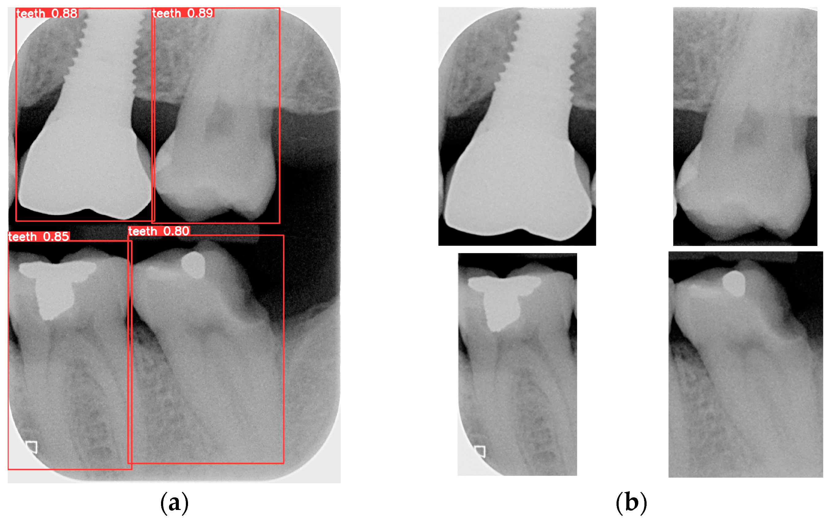 Bioengineering 12 00533 g008