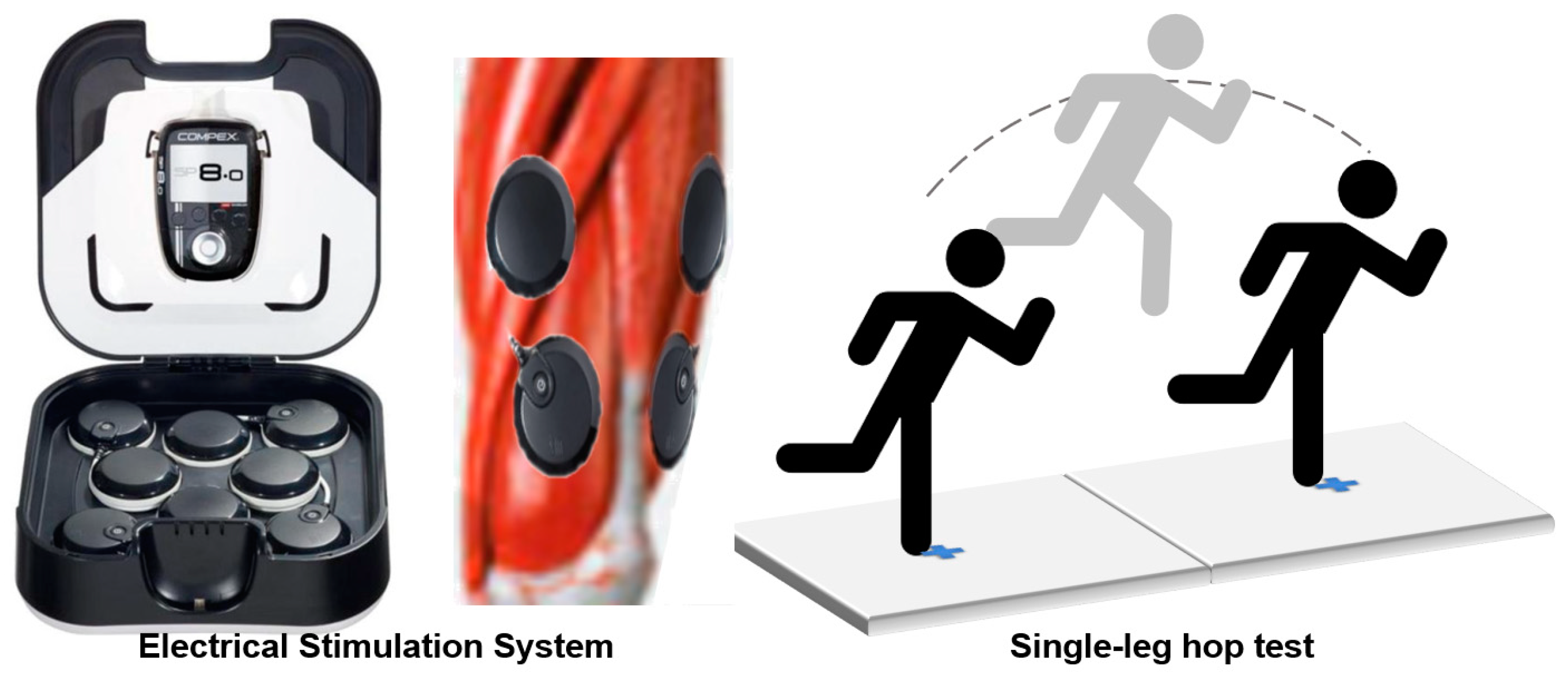Bioengineering 12 00535 g001