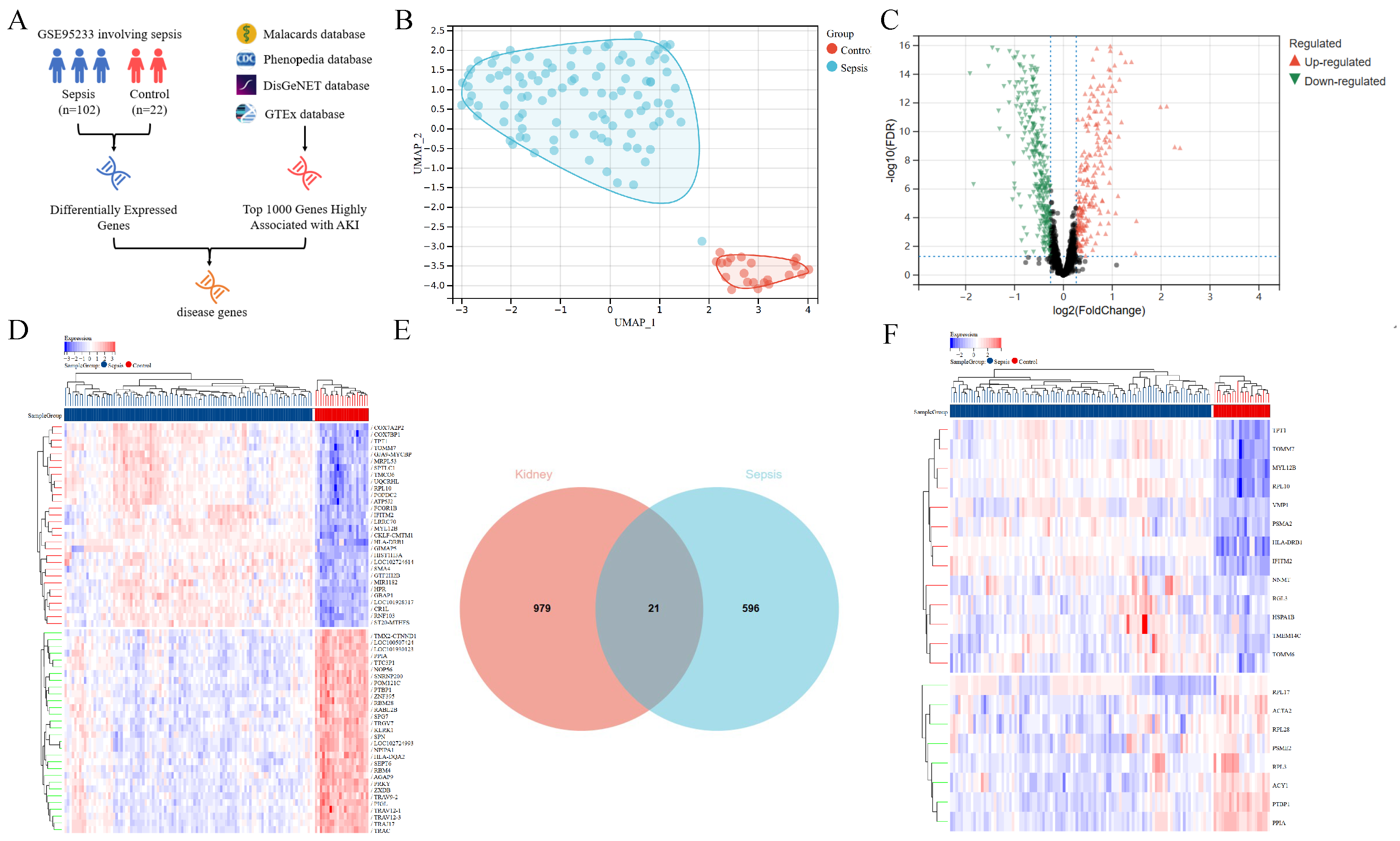 Bioengineering 12 00536 g002