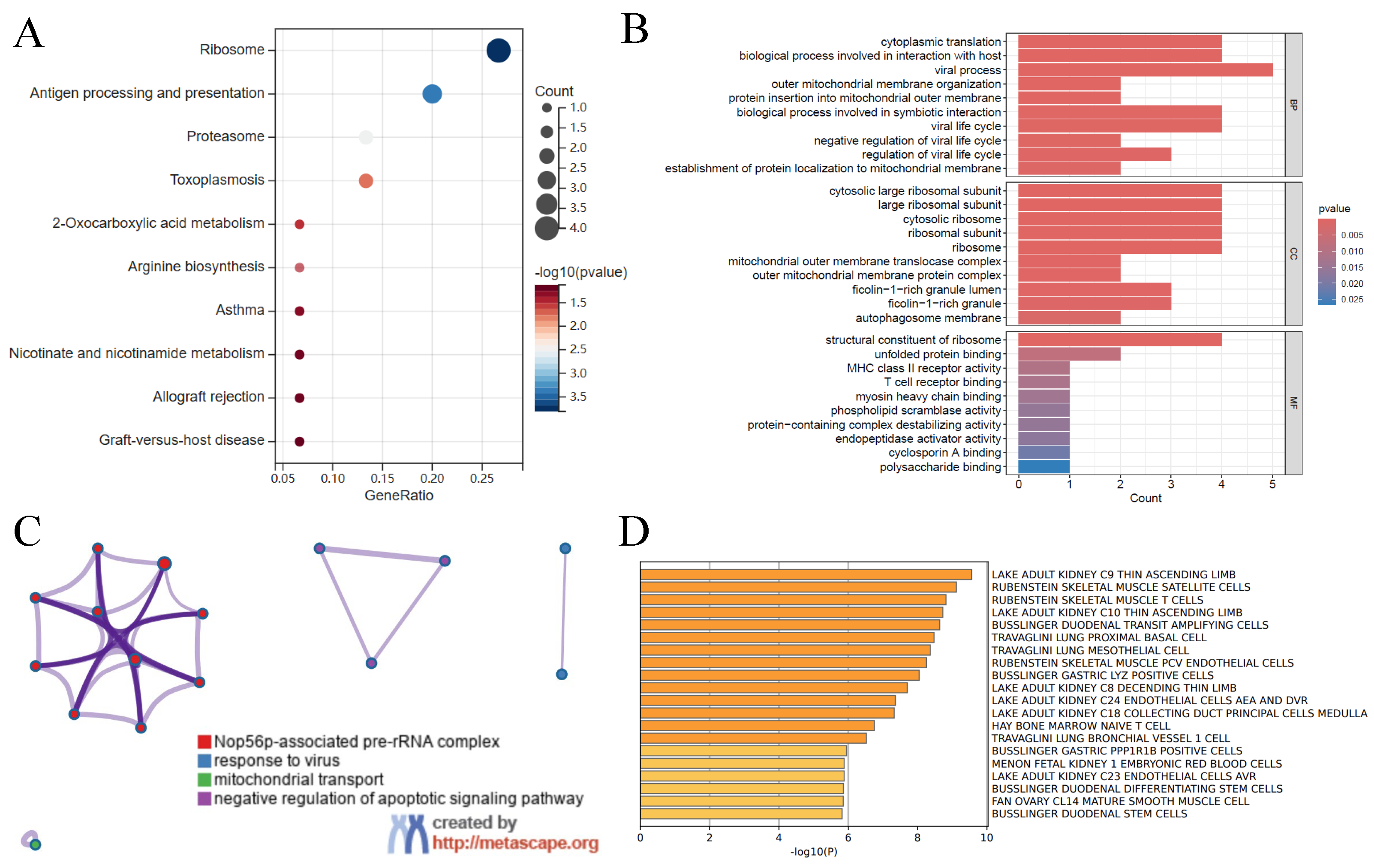 Bioengineering 12 00536 g003