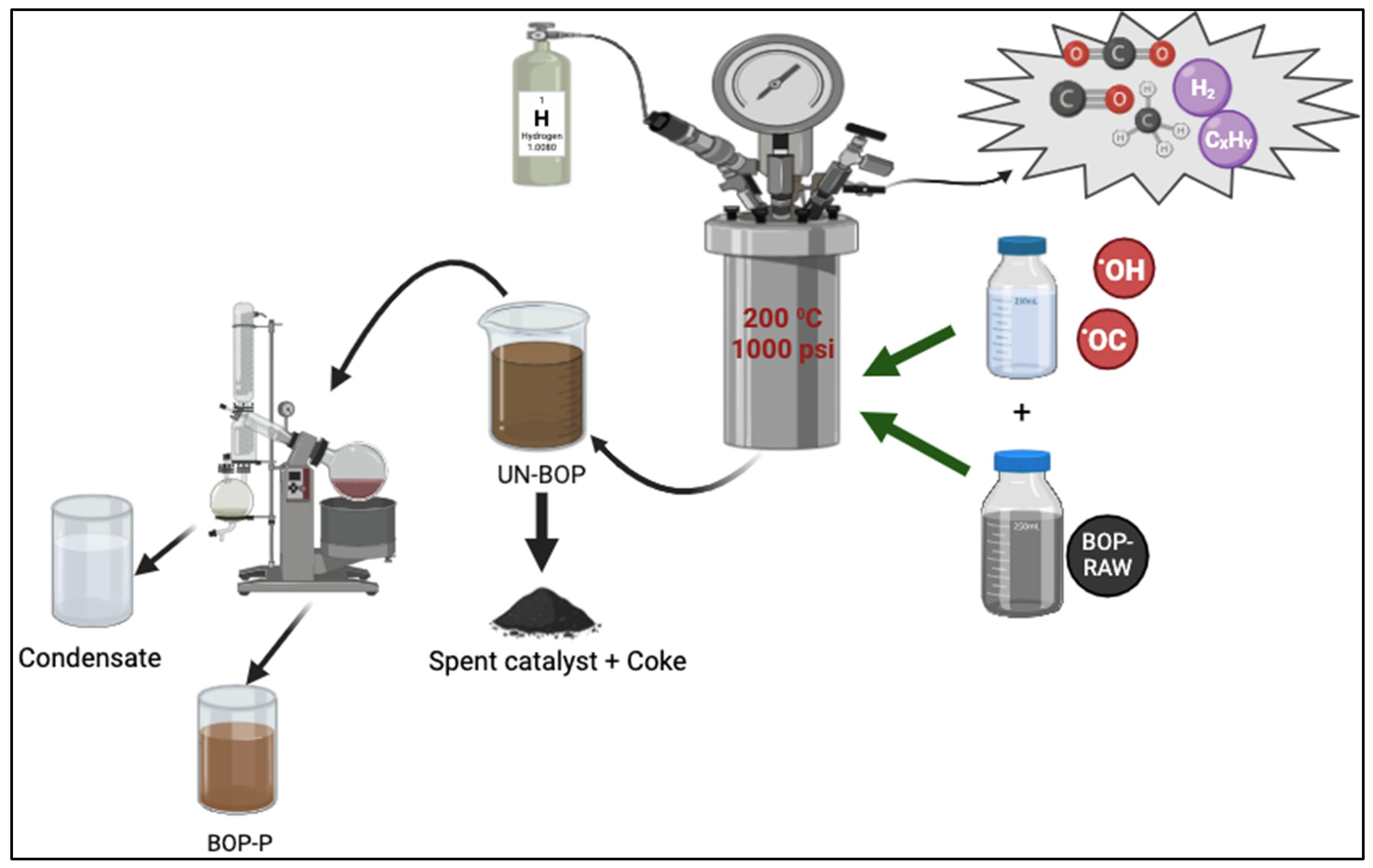 Bioengineering 12 00537 g001