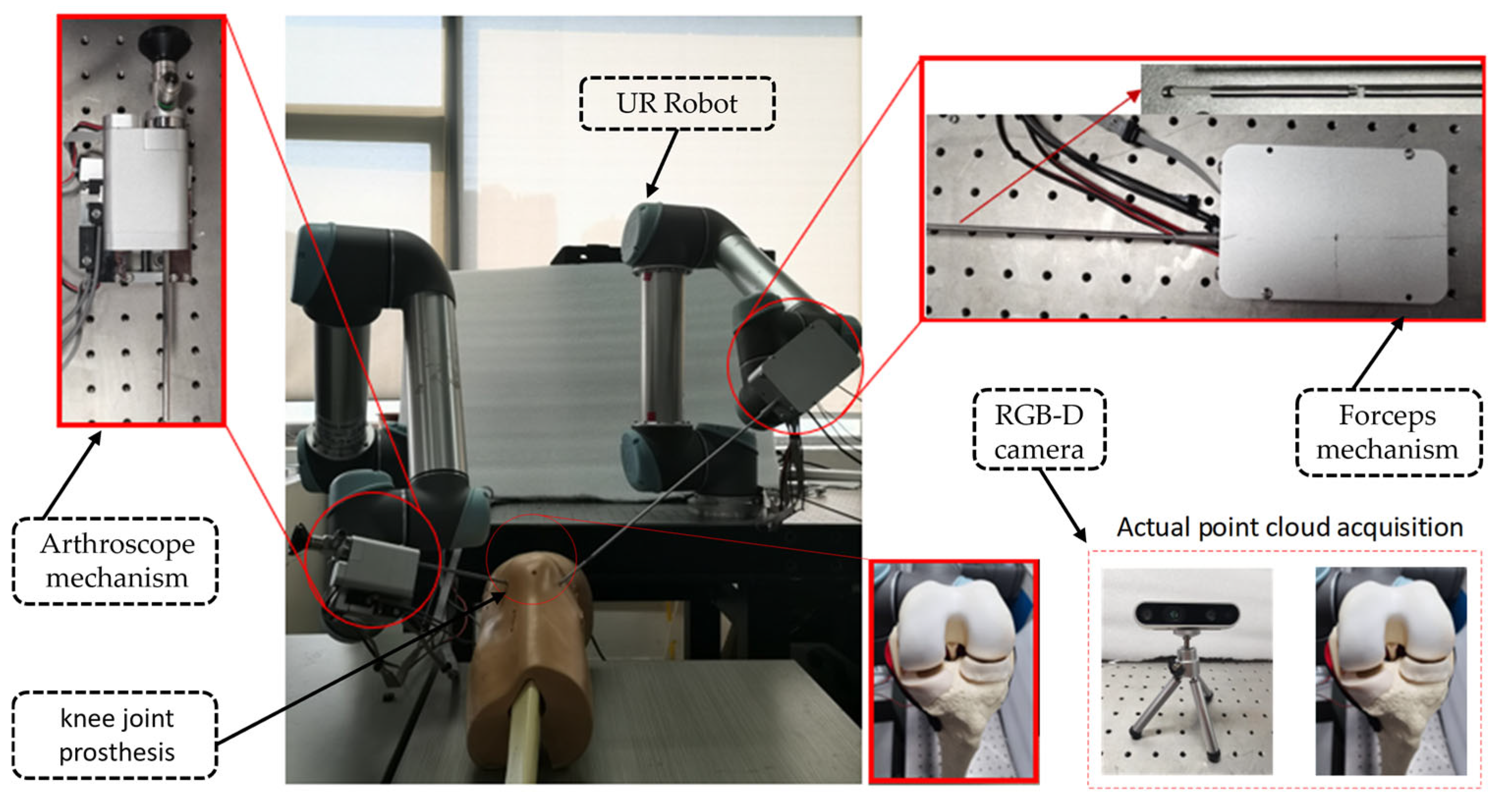 Bioengineering 12 00539 g001