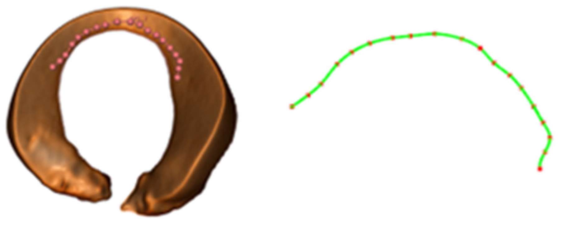 Bioengineering 12 00539 g007