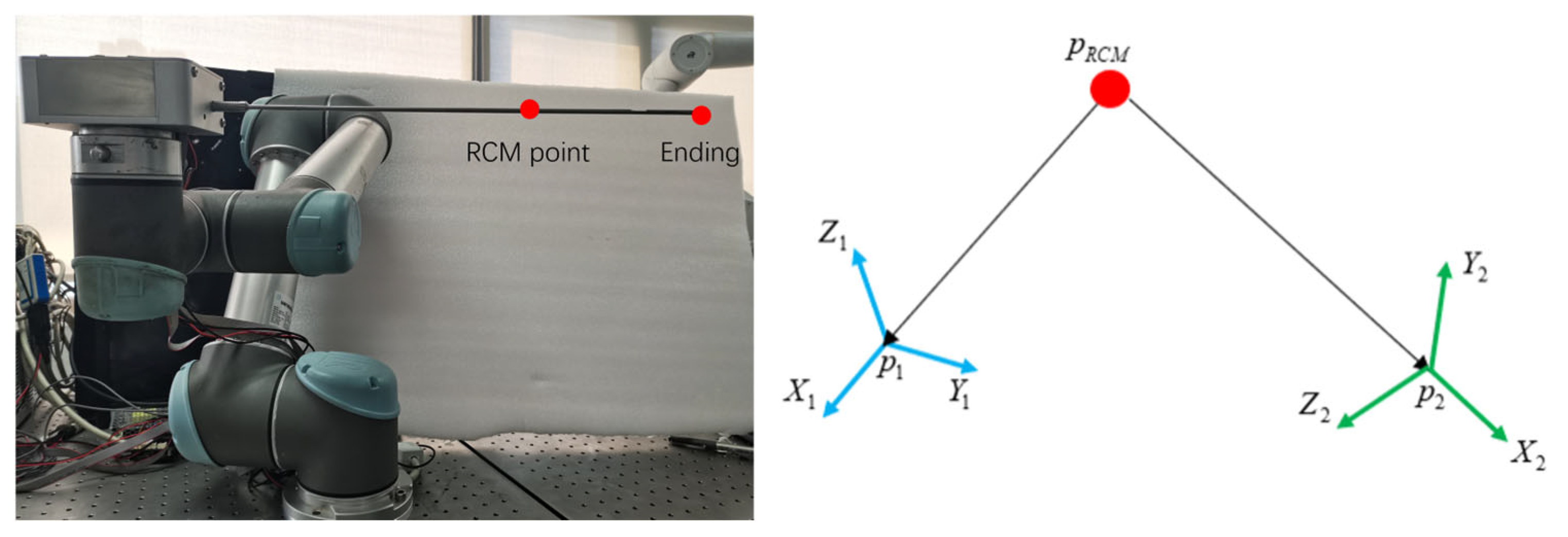 Bioengineering 12 00539 g008