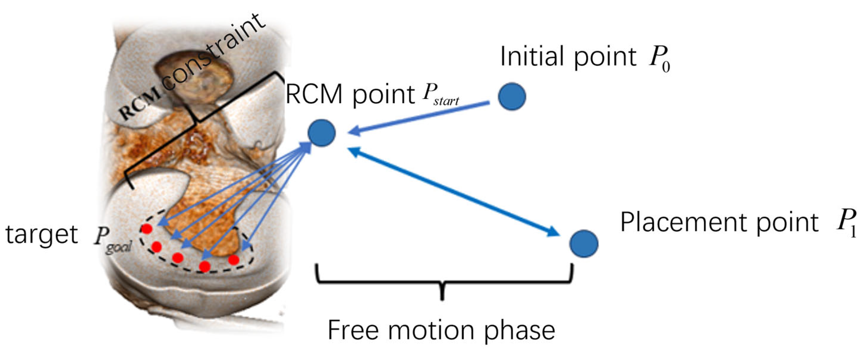 Bioengineering 12 00539 g010