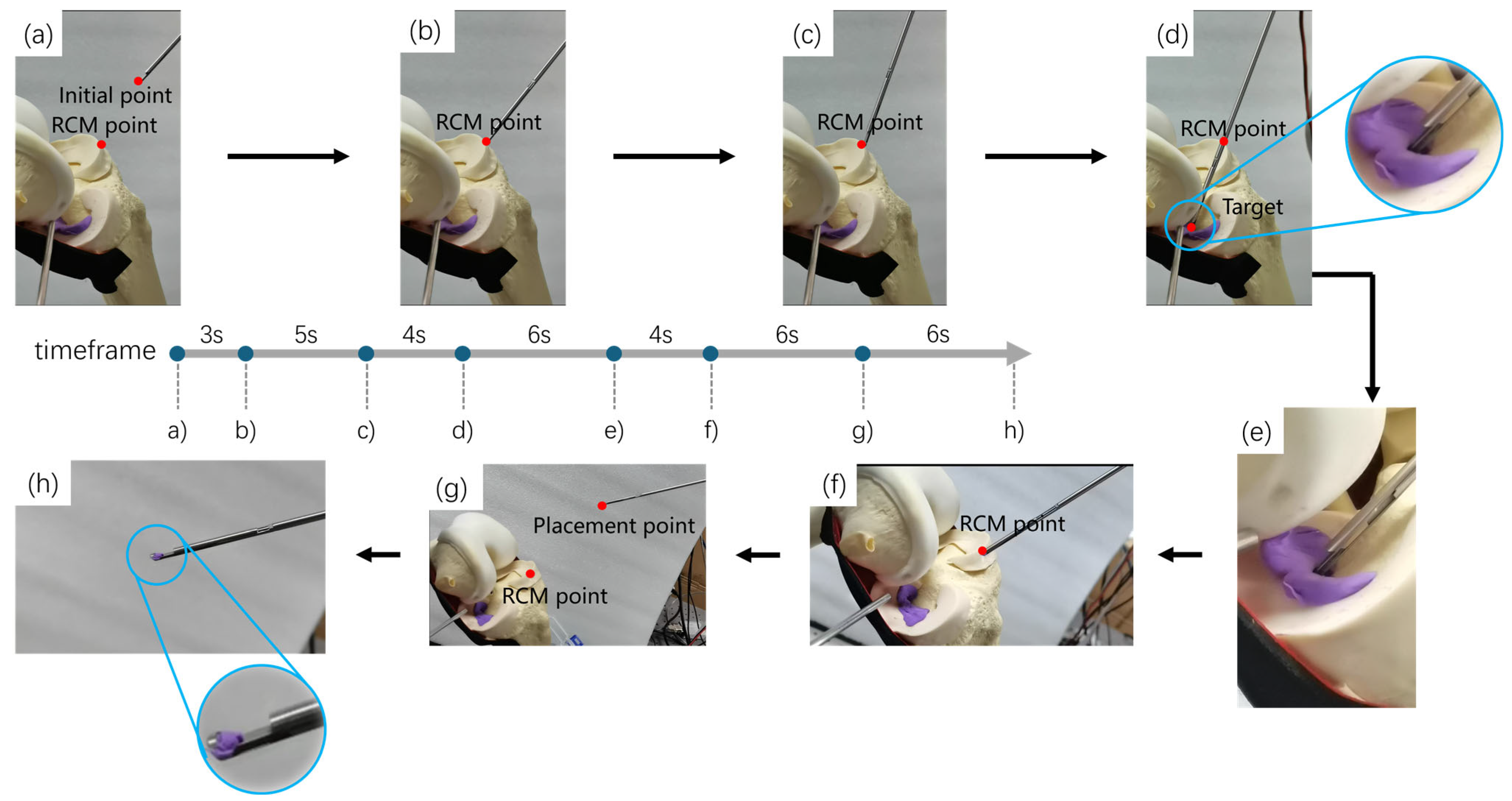 Bioengineering 12 00539 g011
