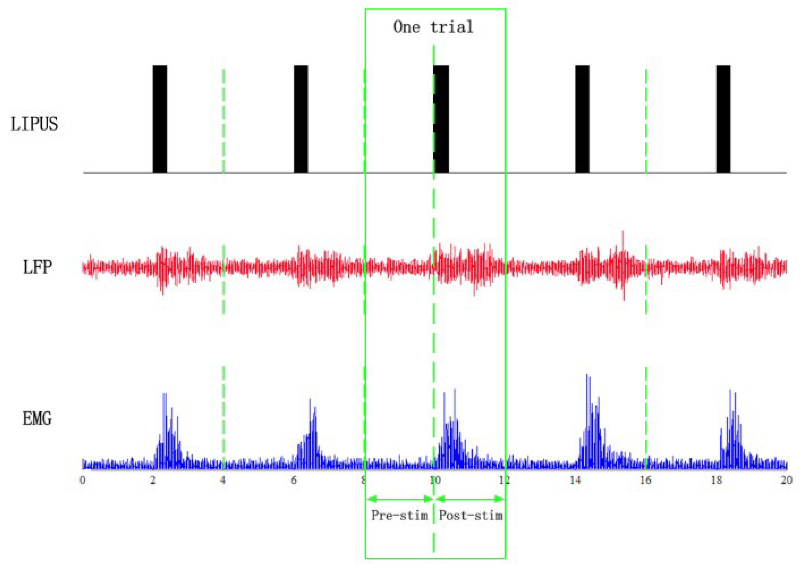 Bioengineering 12 00541 g003