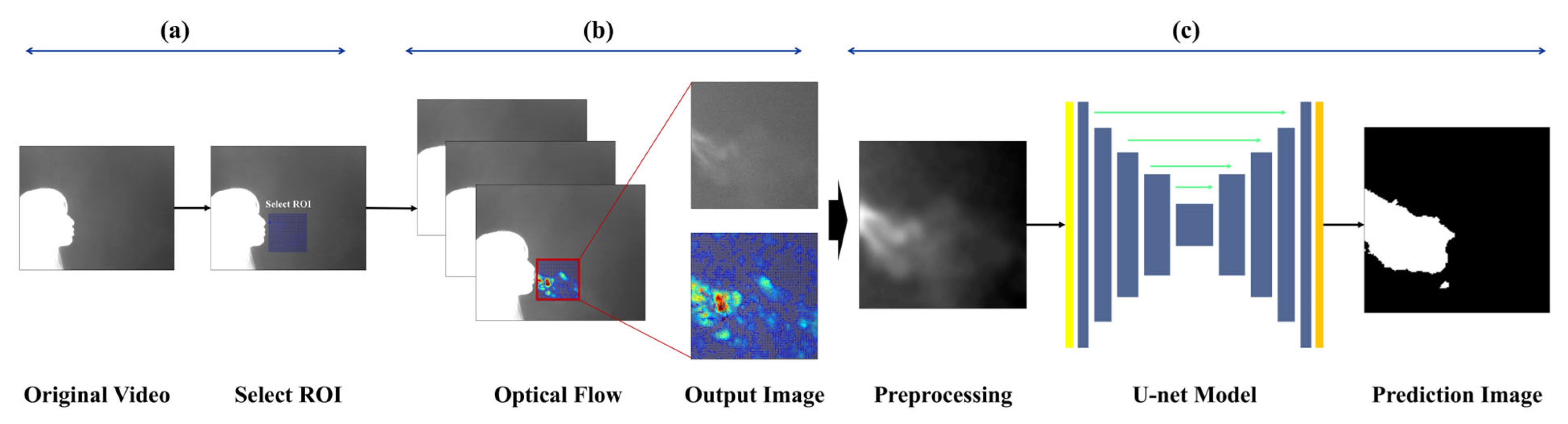 Bioengineering 12 00542 g001
