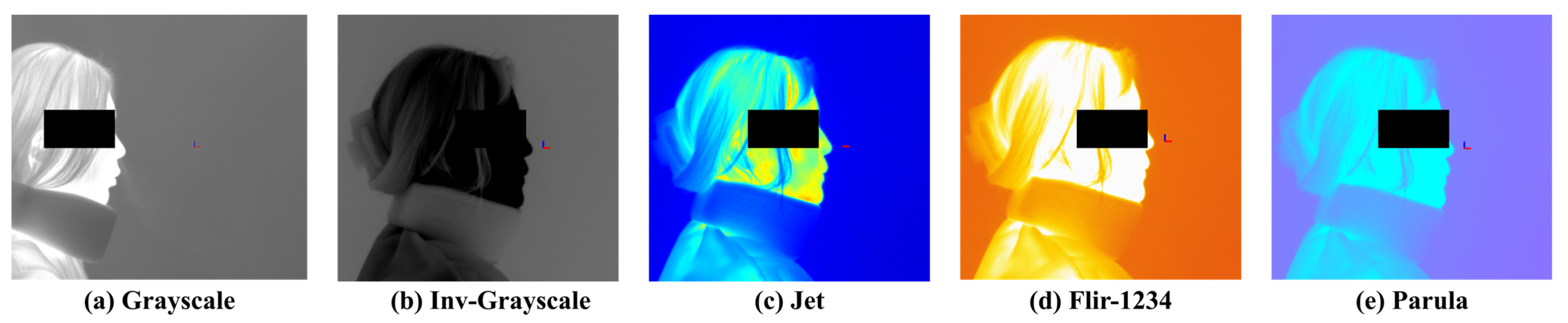 Bioengineering 12 00542 g002