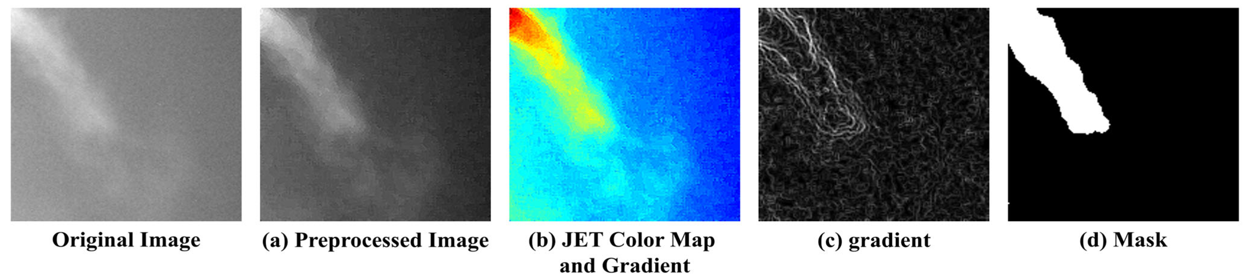 Bioengineering 12 00542 g006