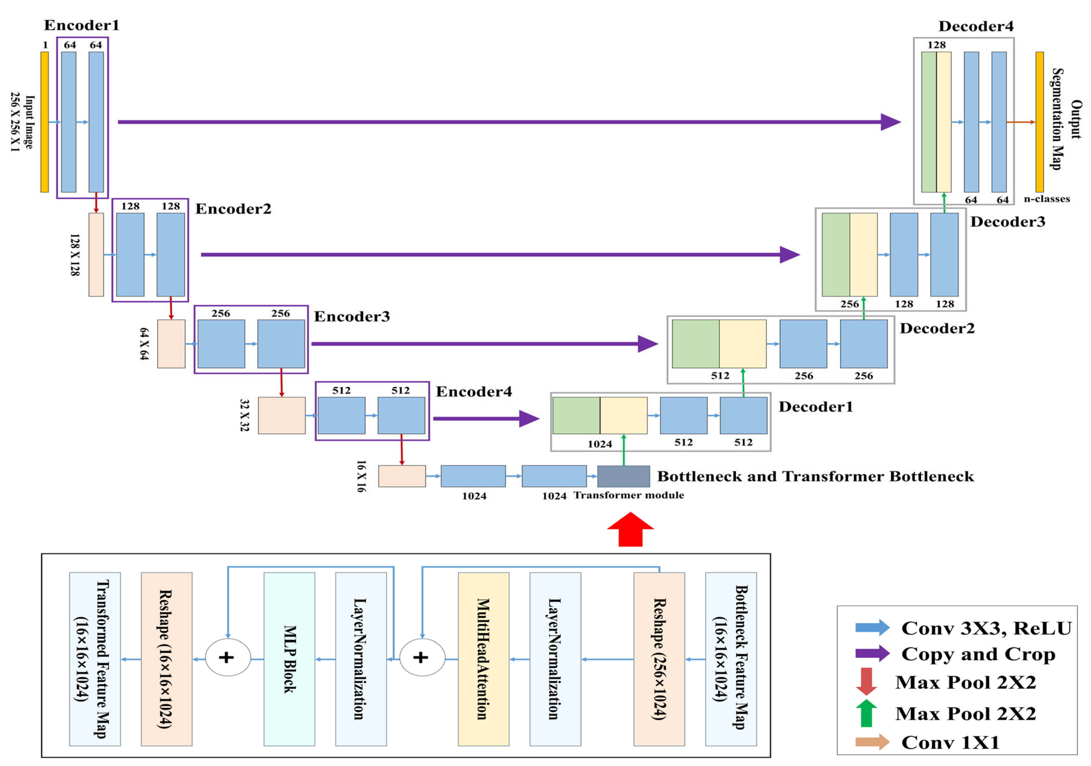 Bioengineering 12 00542 g007