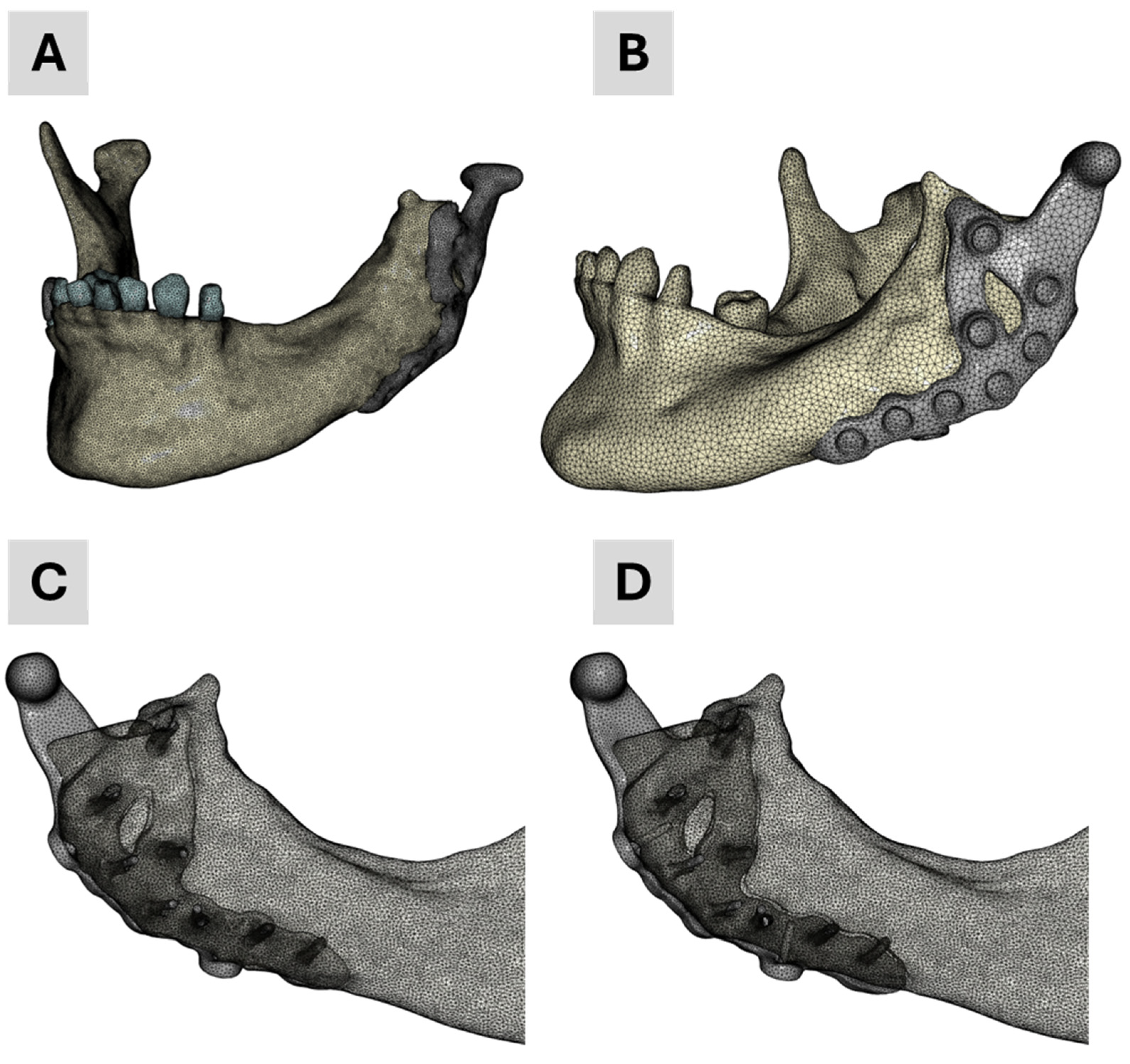 Bioengineering 12 00545 g003