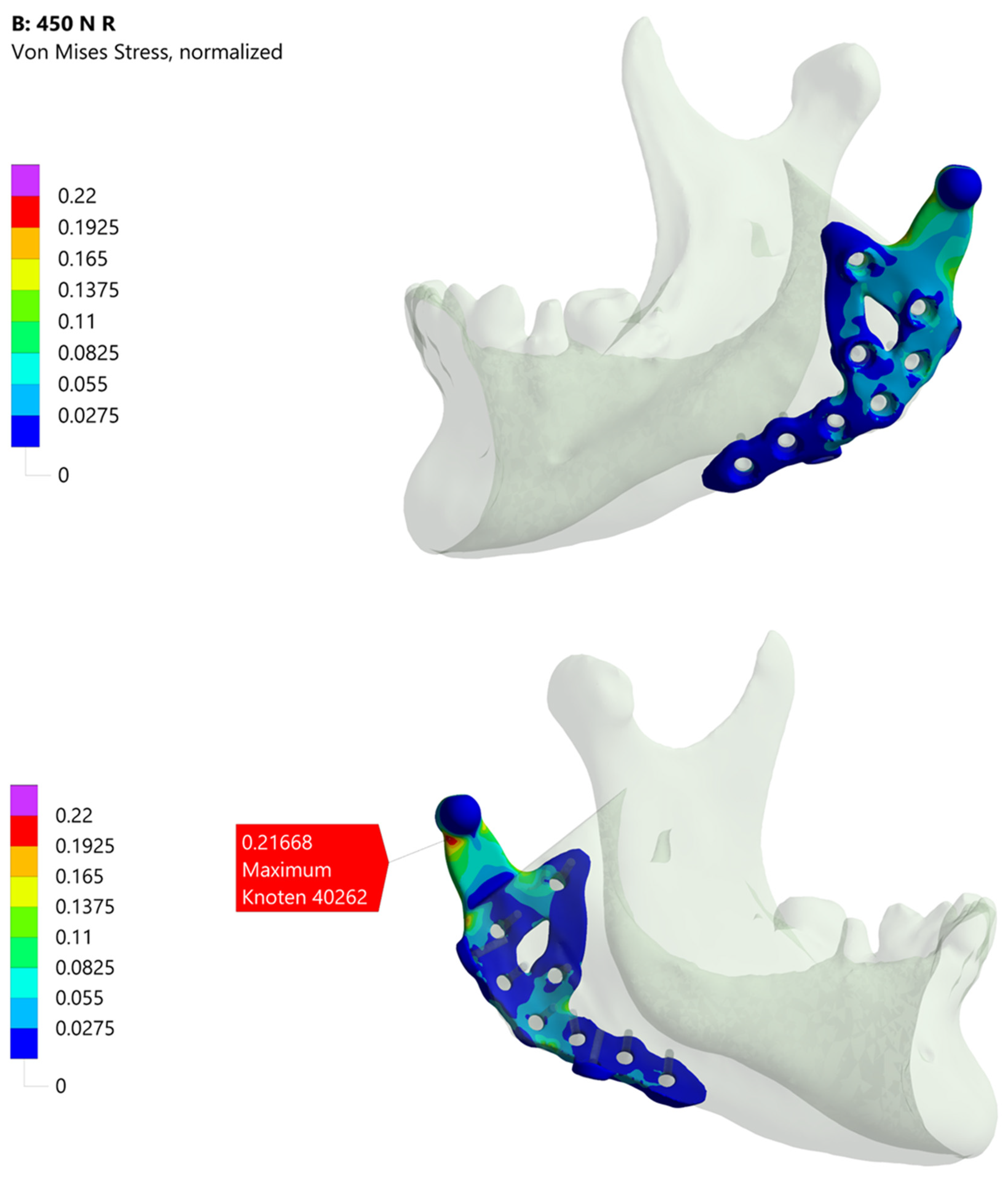 Bioengineering 12 00545 g004